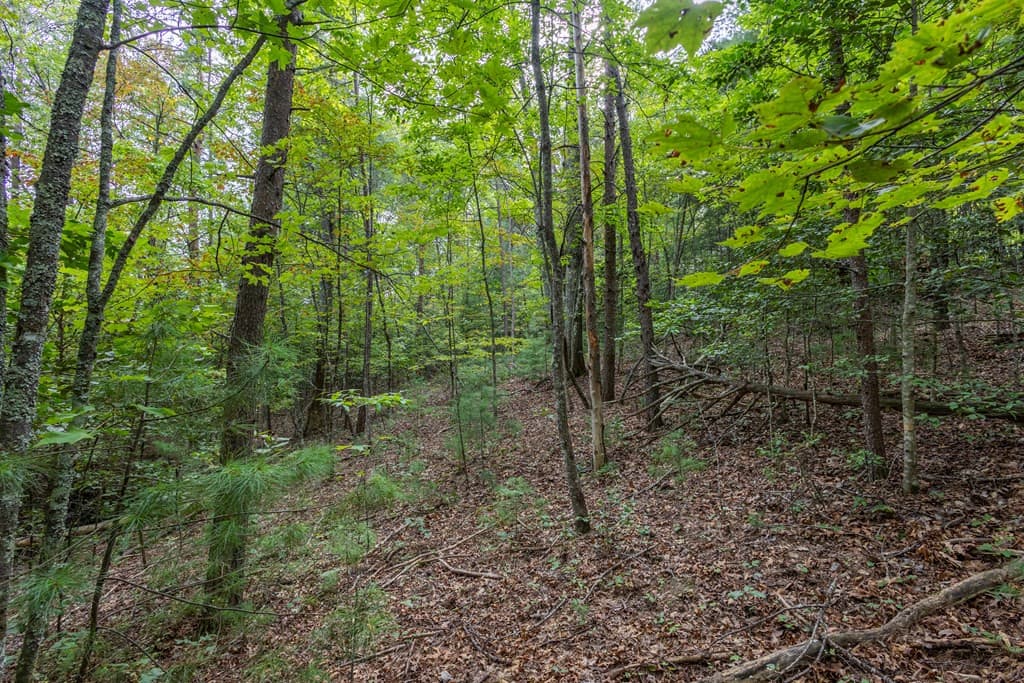 Residential Lot at 2 Ac 6 Horvath Road, Murphy, NC 28906, photo 11 of 12