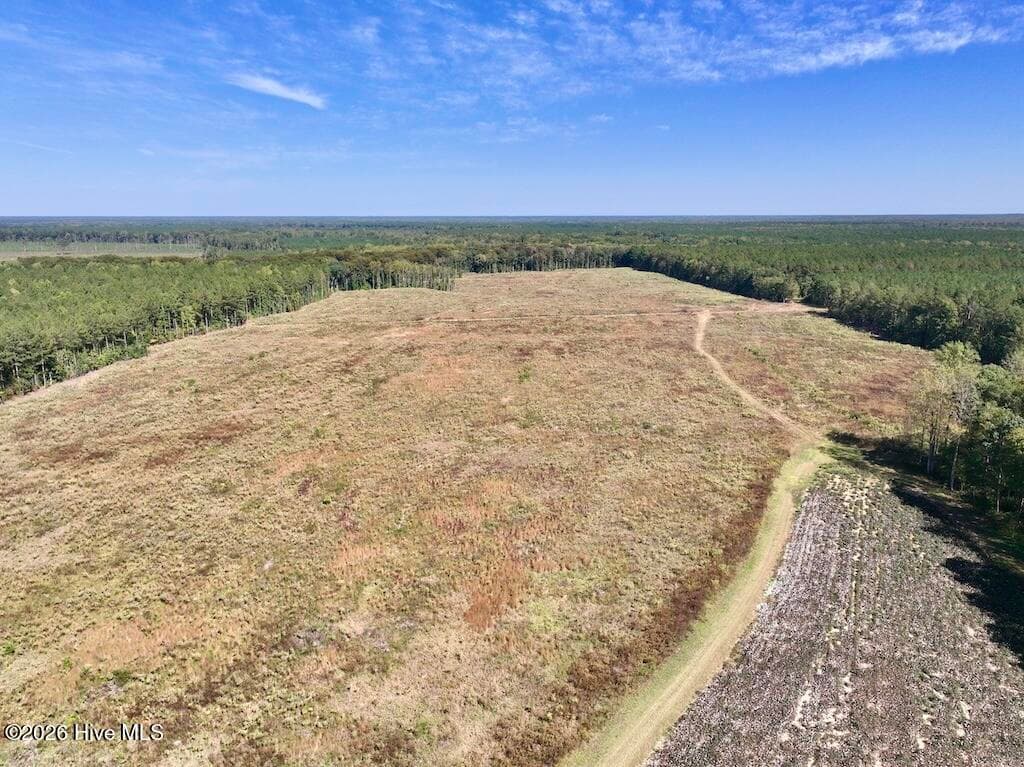 Mixed Use at 0 Spring Hill Road, Scotland Neck, NC 27874, photo 34 of 93
