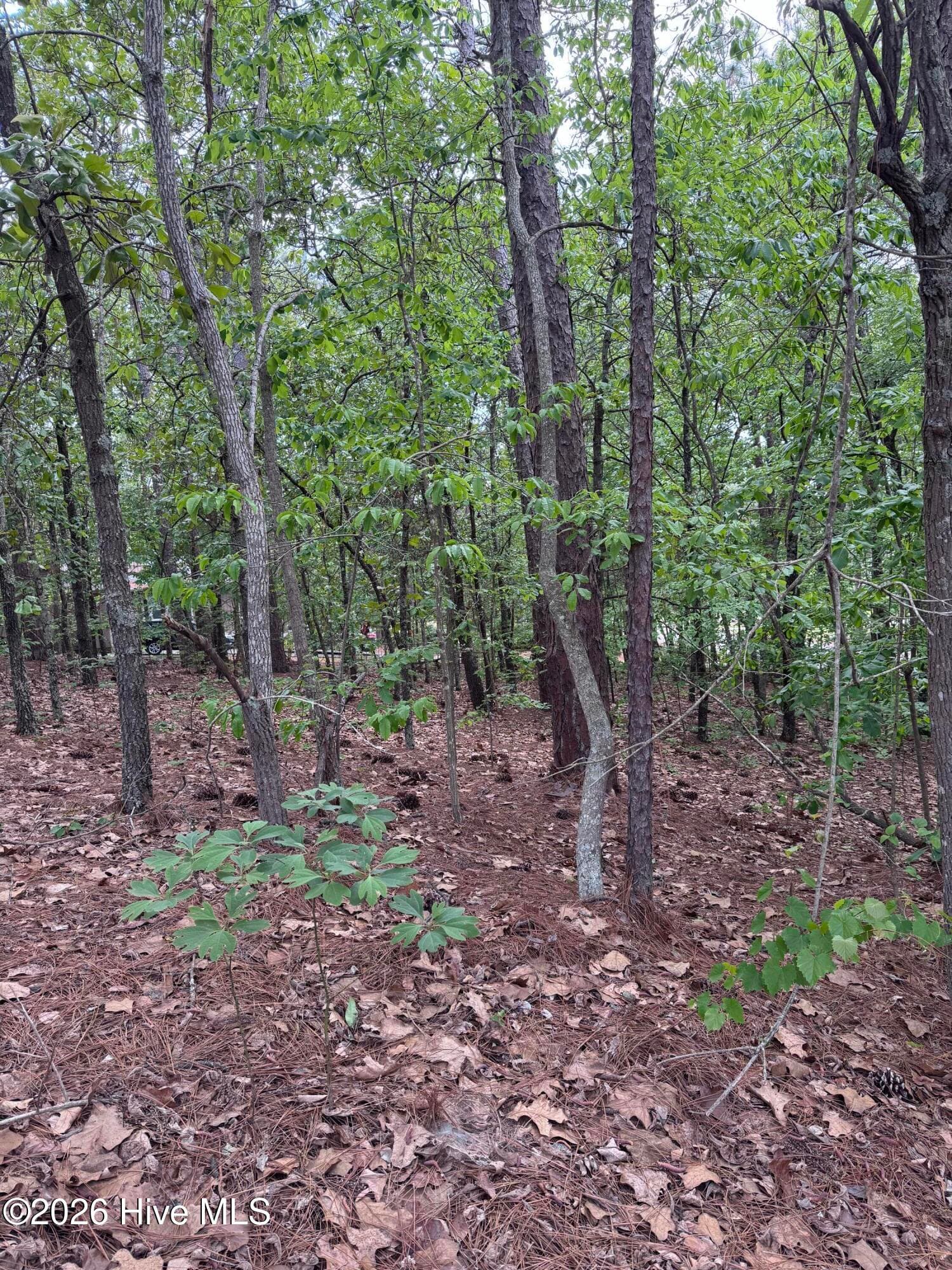 Residential Lot at 148 4177 Otter Drive, Seven Lakes, NC 27376, photo 3 of 7