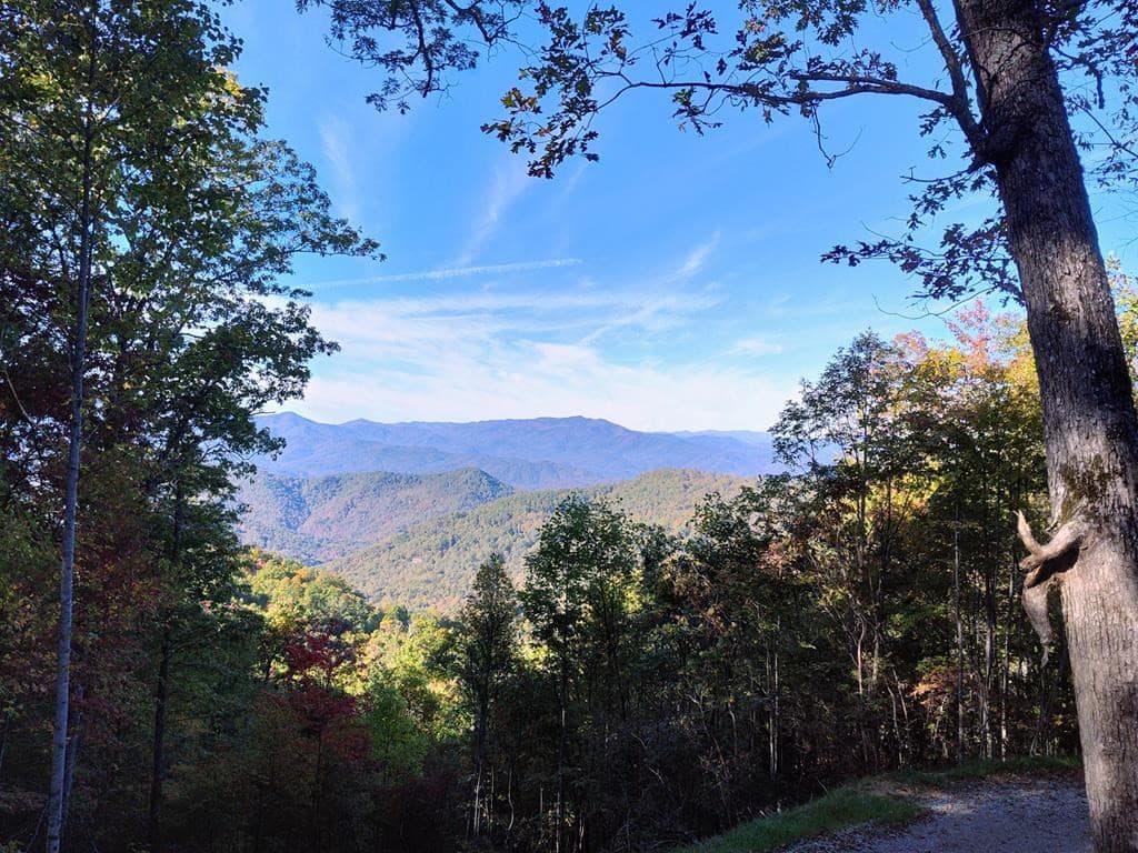 Land at 00 E Alarka Road, Bryson City, NC 28713, photo 25 of 28