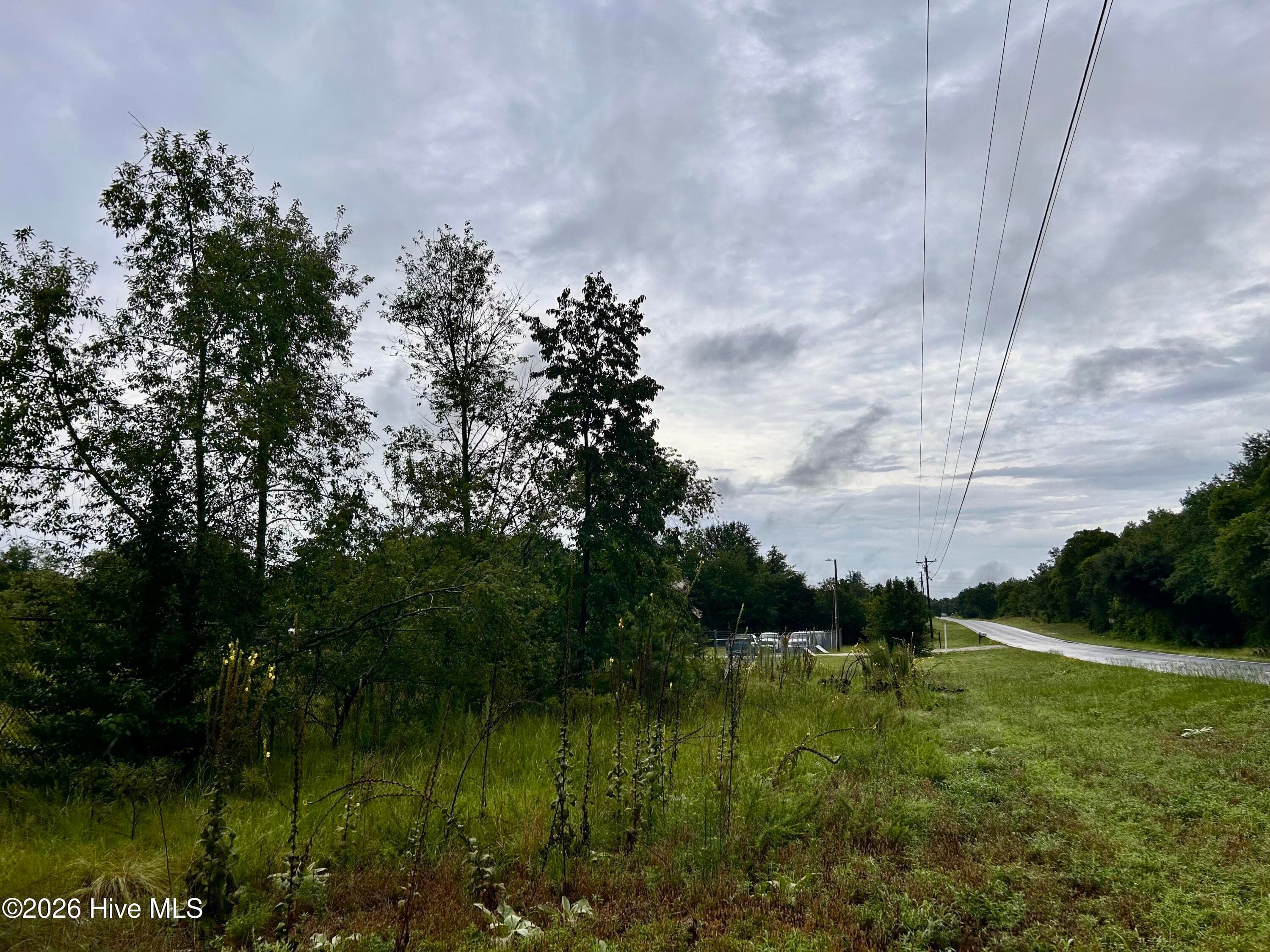 Commercial Sale at 0 Carolina 381, Hamlet, NC 28345, photo 4 of 8
