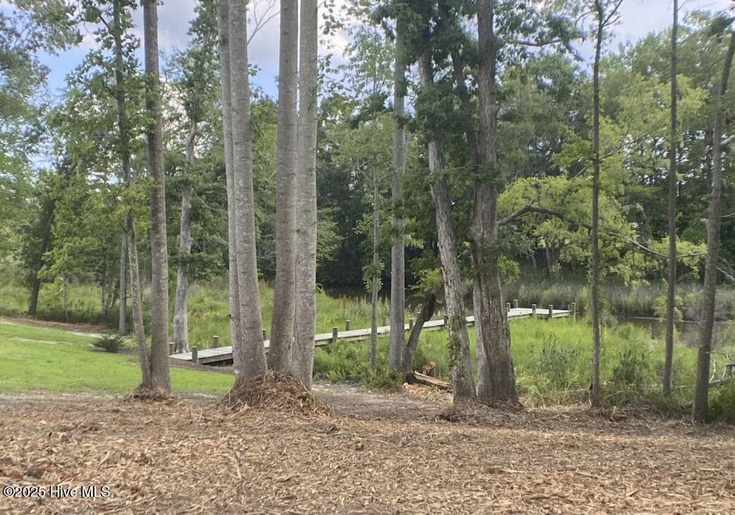 Residential Lot at 98 39 + 40 Bridgewater S Drive, Bath, NC 27808, photo 11 of 15