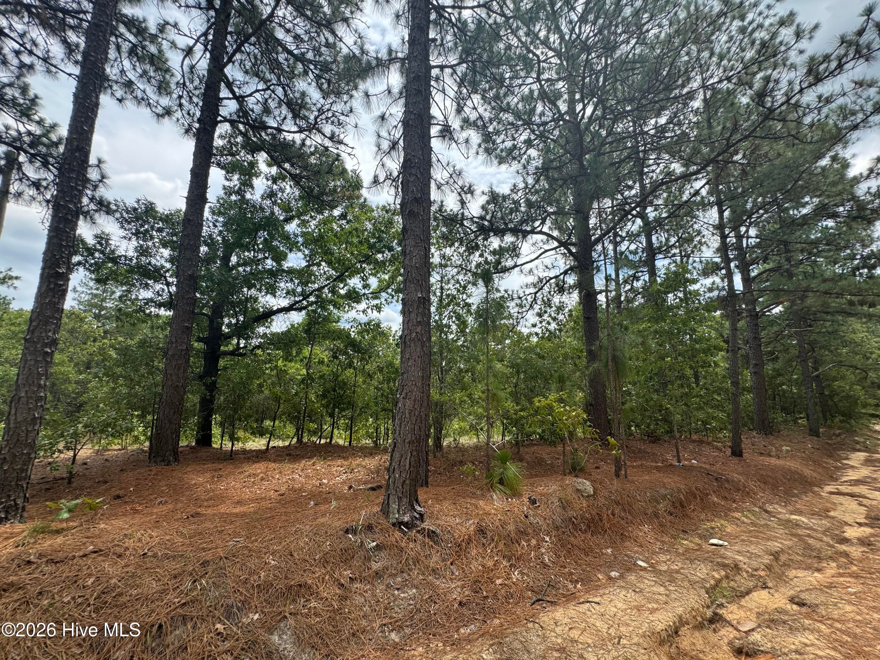 Undeveloped at 000 Lizzie Jeter Lane, Cameron, NC 28326, photo 3 of 8