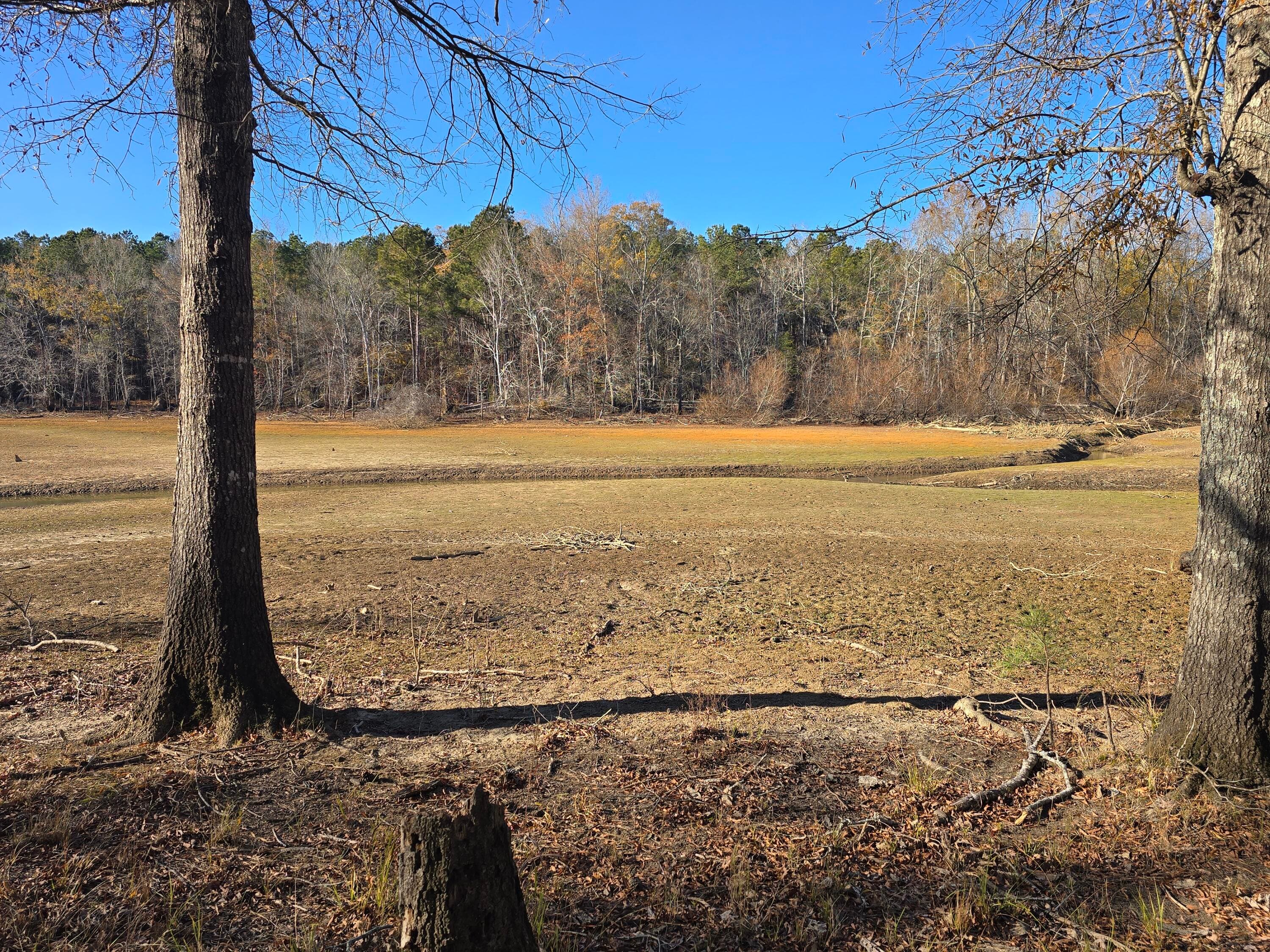 Residential Lot at 1102 Dogwood Drive, Lincolnton, GA 30817, photo 31 of 46