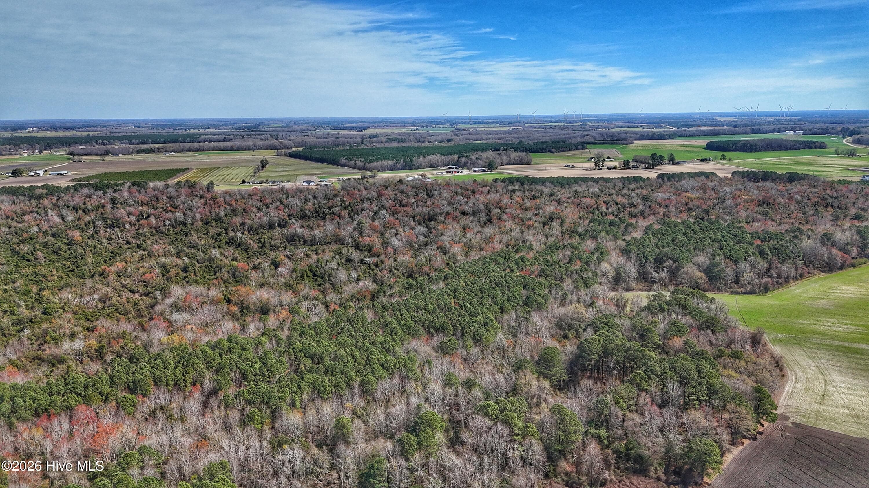 Wooded at 1612 Rocky Hock Landing Road, Edenton, NC 27932, photo 23 of 45