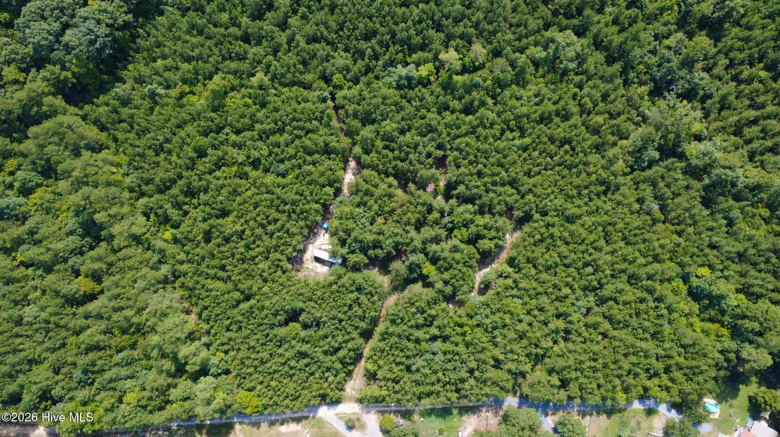 Undeveloped at 239 16 Lick Creek Road, Carthage, NC 28327, photo 4 of 12