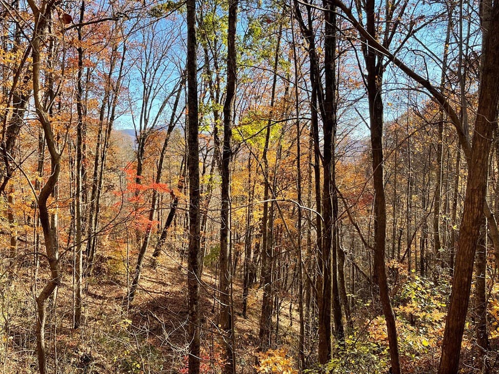 Residential Lot at 36 54c Ash Branch Circle, Hayesville, NC 28904, photo 5 of 5