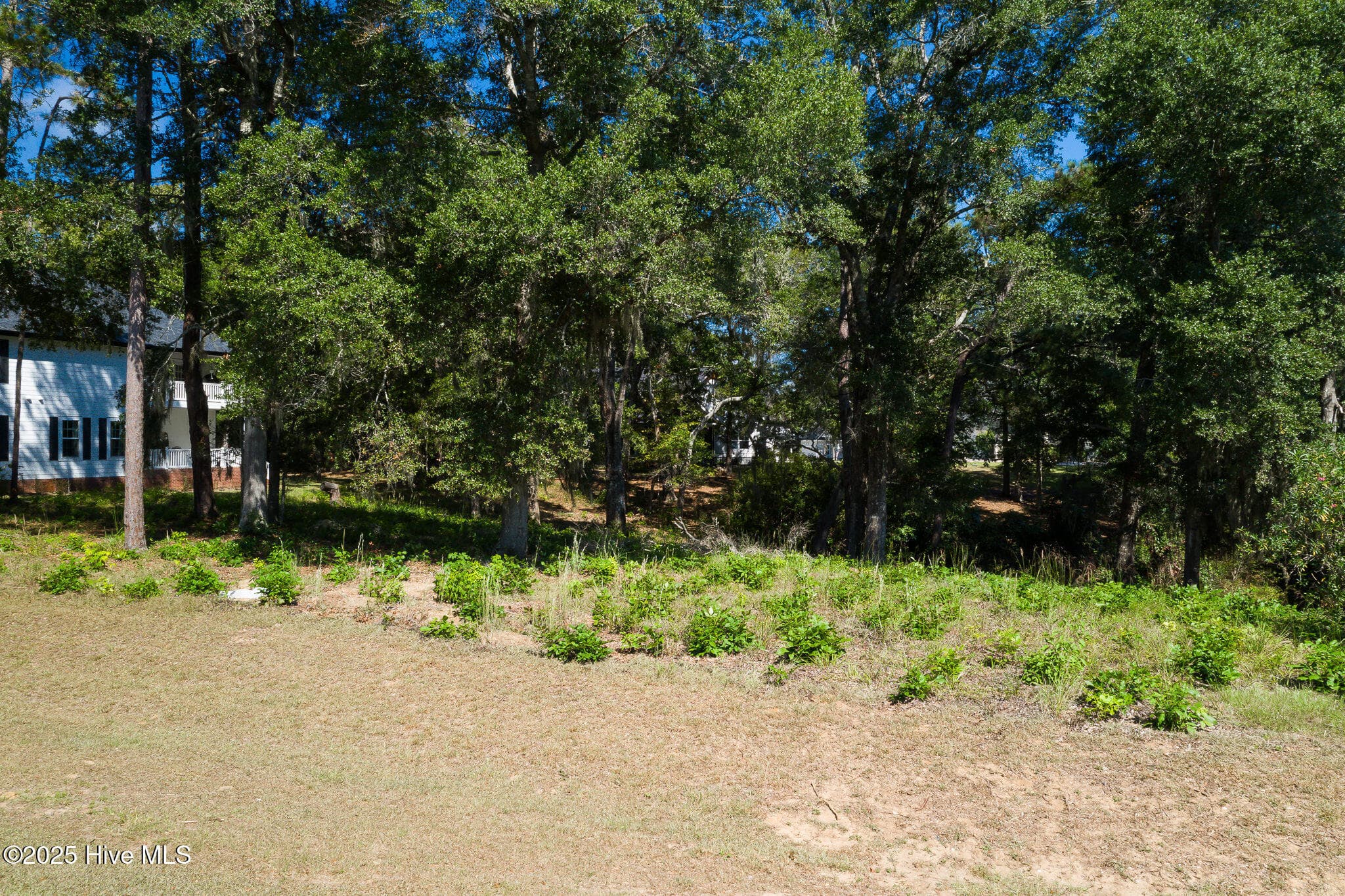 Residential Land at 1884 Russell Hewett Road SW, Supply, NC 28462, photo 9 of 31