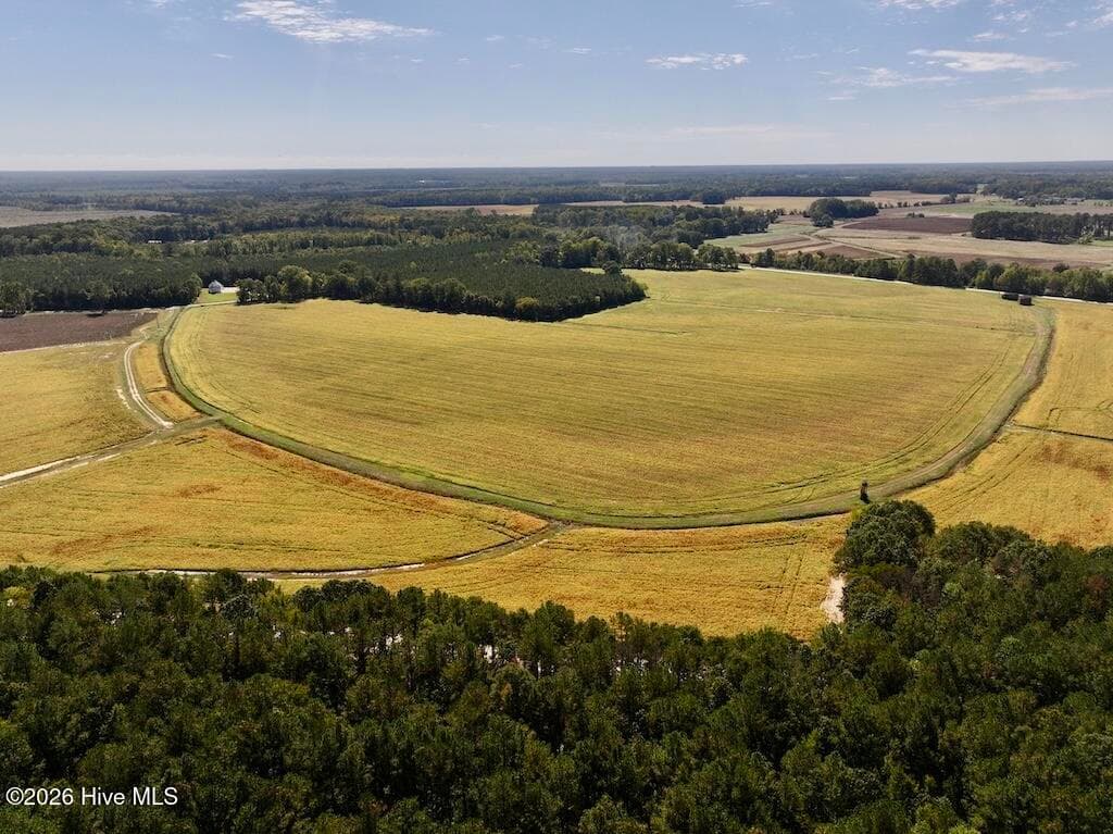 Mixed Use at 0 Spring Hill Road, Scotland Neck, NC 27874, photo 52 of 93