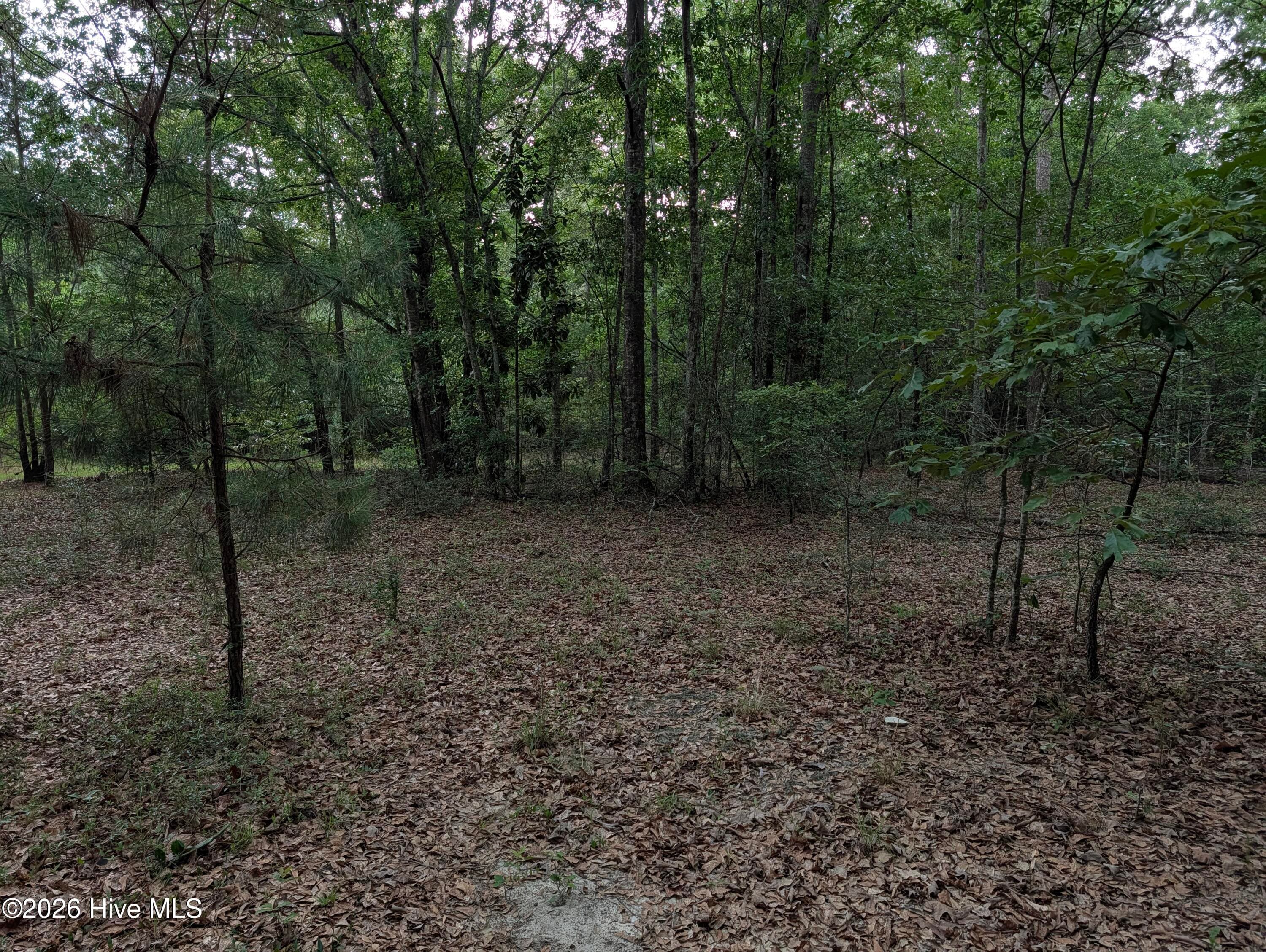 Residential Lot at 285 Garvin Drive, Wagener, SC 29164, photo 10 of 14