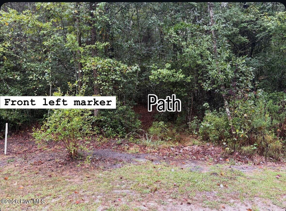 Undeveloped at Lot 4 4 Oak Haven Road, Atkinson, NC 28421, photo 4 of 6