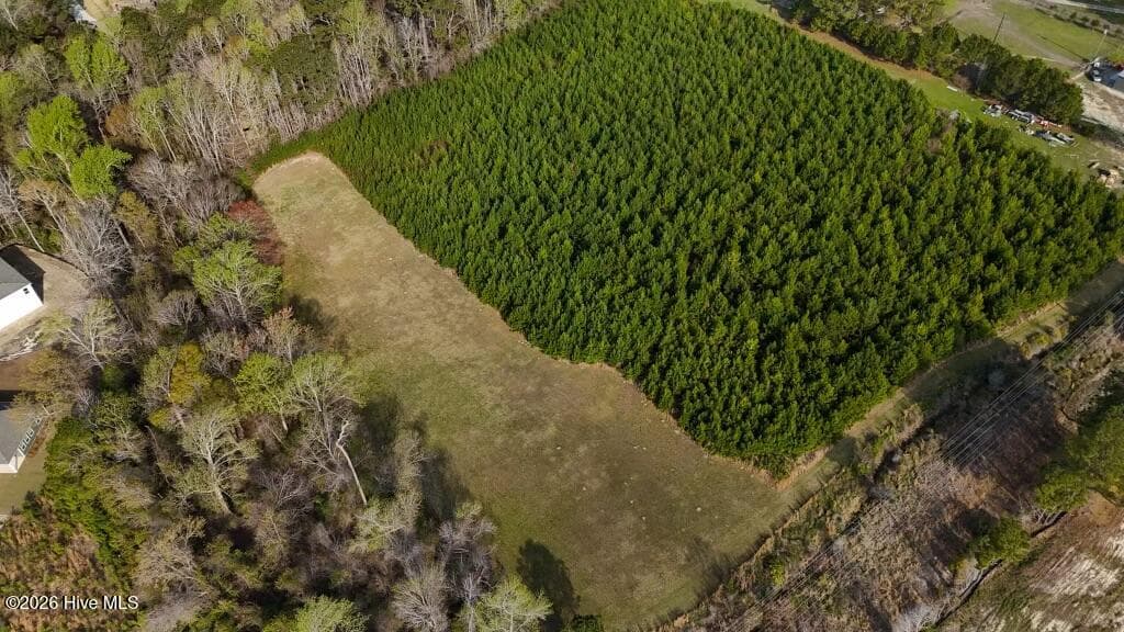 Undeveloped at Tr1 Smallwood Road, Hubert, NC 28539, photo 5 of 7