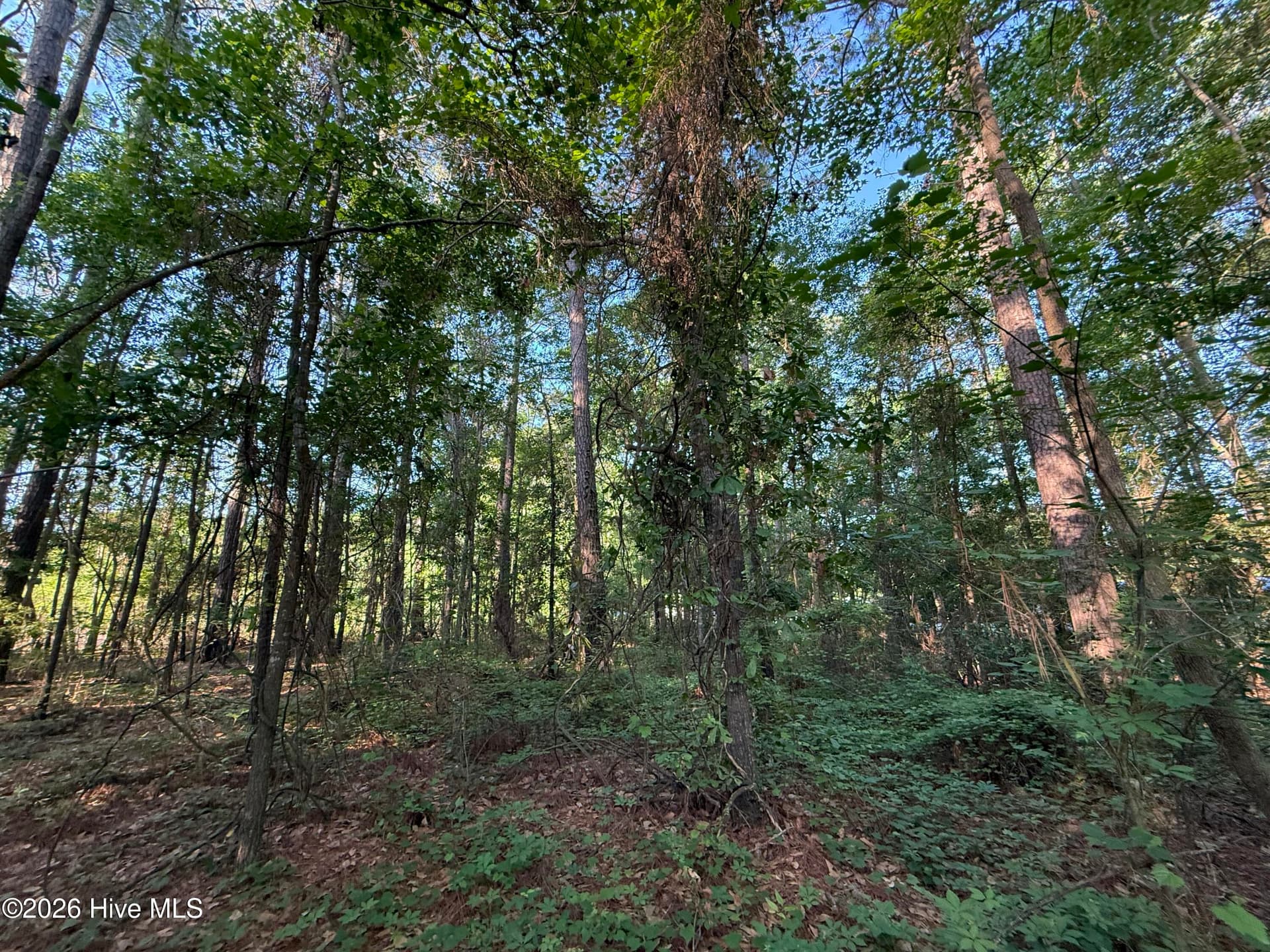 Residential Lot at 470 Acres Lane NW, Calabash, NC 28467, photo 17 of 19