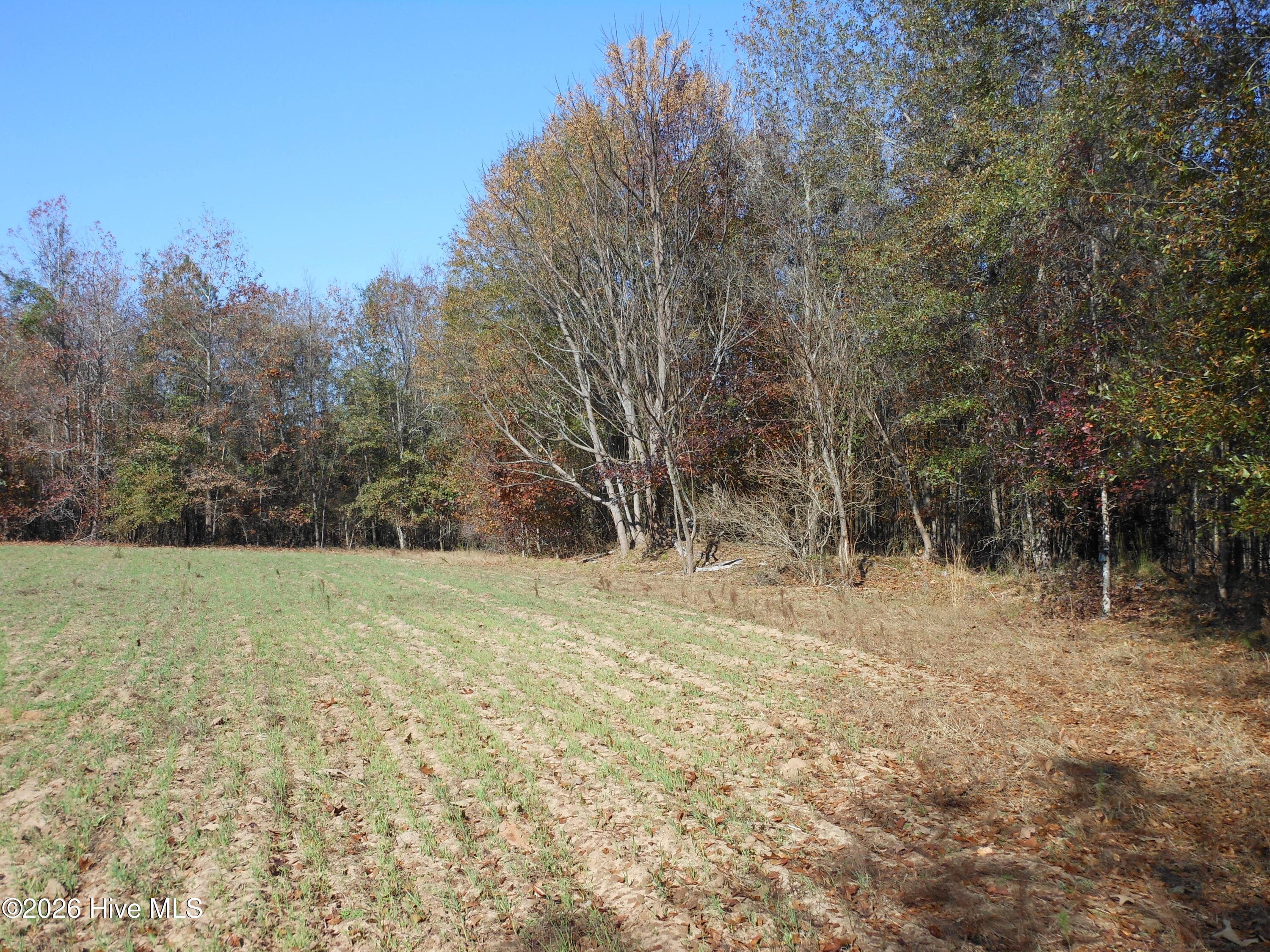 Undeveloped at 1447 Greiner Circle, Hephzibah, GA 30815, photo 9 of 10