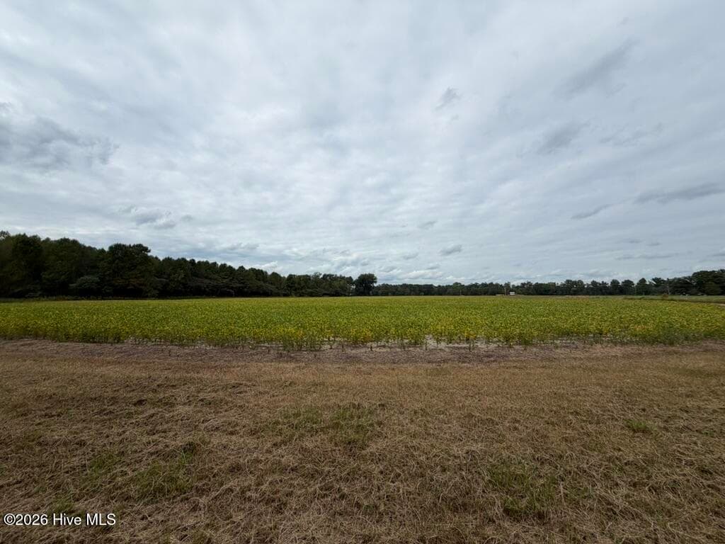 Single Family Residence at 1708 Nc Highway 45, Cofield, NC 27922, photo 54 of 86