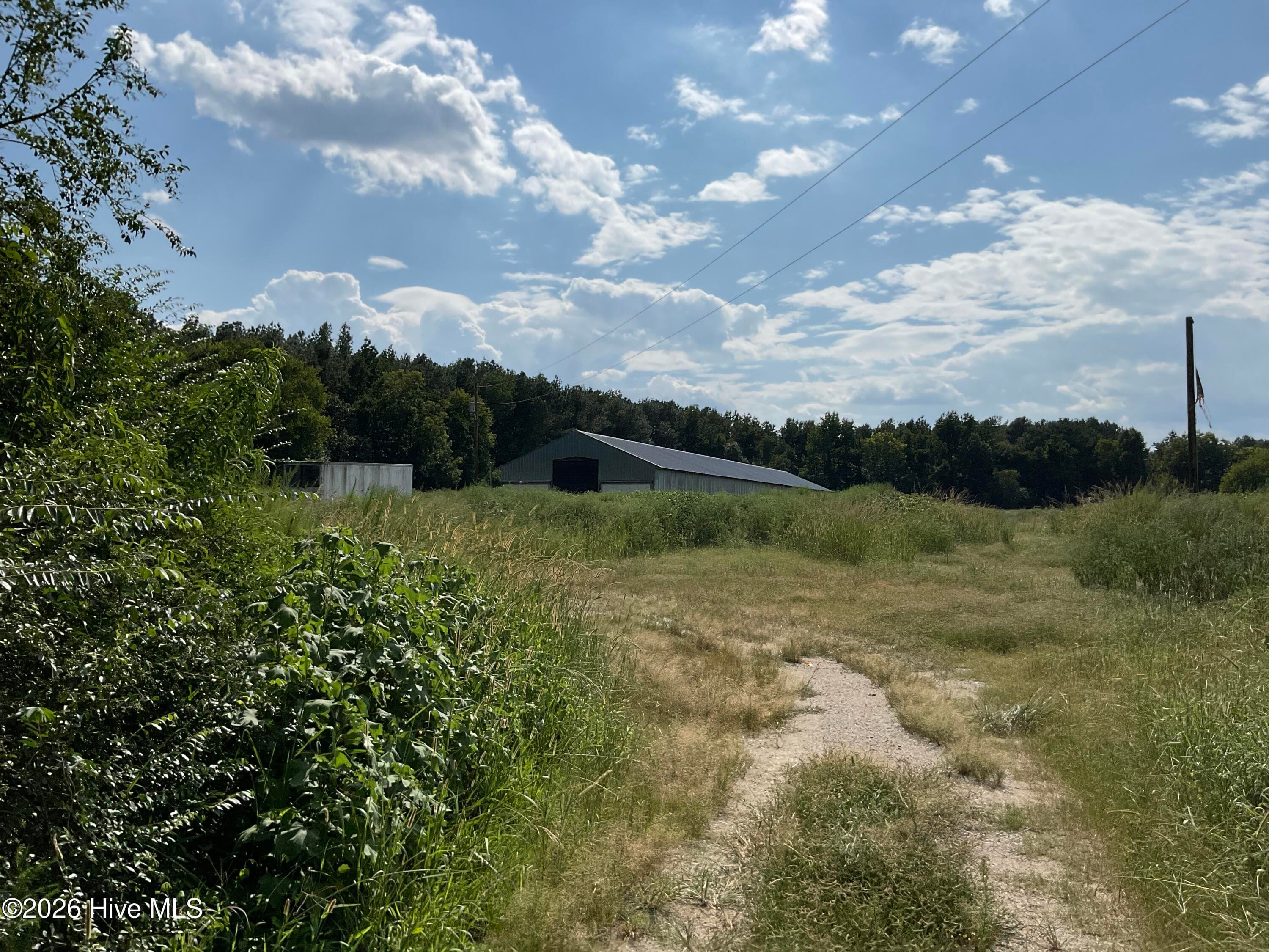Farm at 5650 Old 125 Road, Scotland Neck, NC 27874, photo 6 of 8