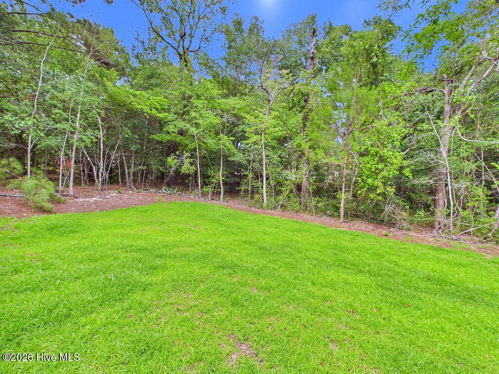 TELLURIDE LOT 04 - 'Berton' - 221 Telluride Court, Aberdeen, NC 28315