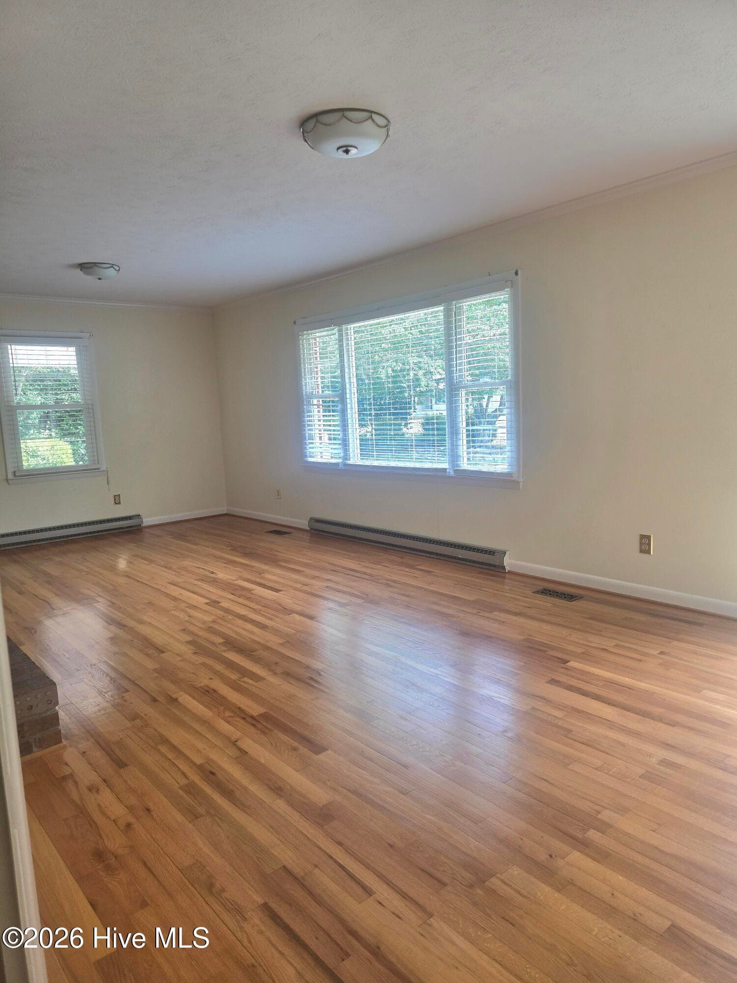 Single Family Residence at 214 E Bladen Street, Bladenboro, NC 28320, photo 34 of 67