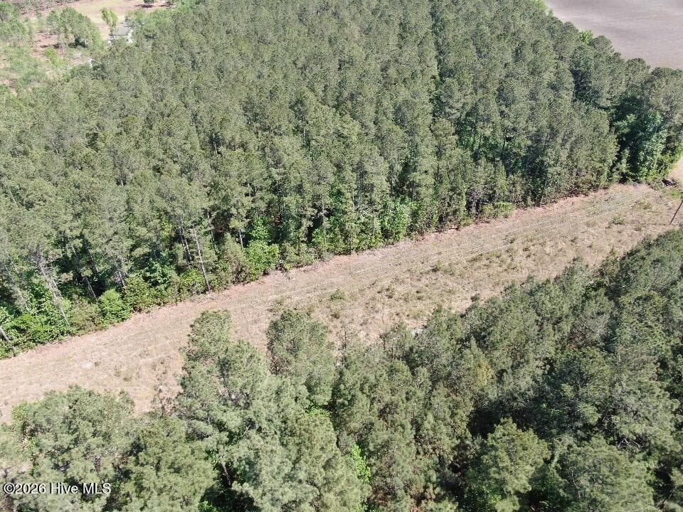 Wooded at 20.51 Acre Sweat Drive, Bladenboro, NC 28320, photo 11 of 16
