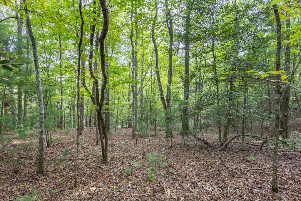 Residential Lot at 2 Ac 6 Horvath Road, Murphy, NC 28906, photo 2 of 12