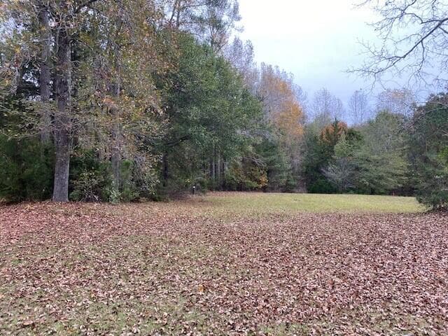 Undeveloped at 6384 Cobbham Road, Appling, GA 30802, photo 2 of 4