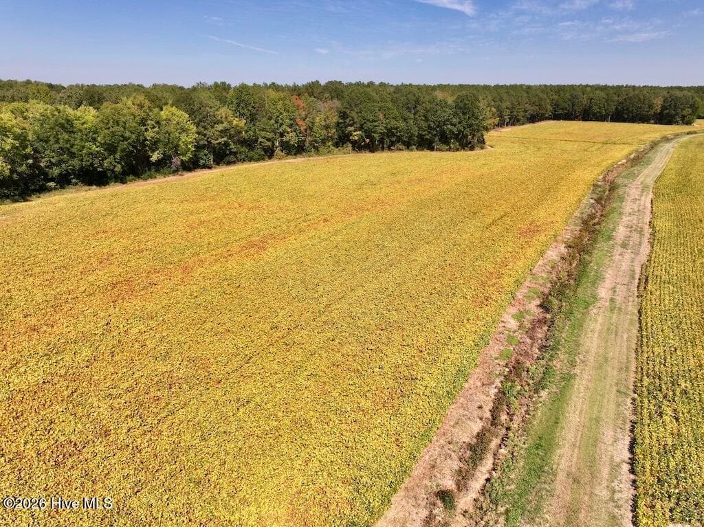 Mixed Use at 0 Spring Hill Road, Scotland Neck, NC 27874, photo 65 of 93