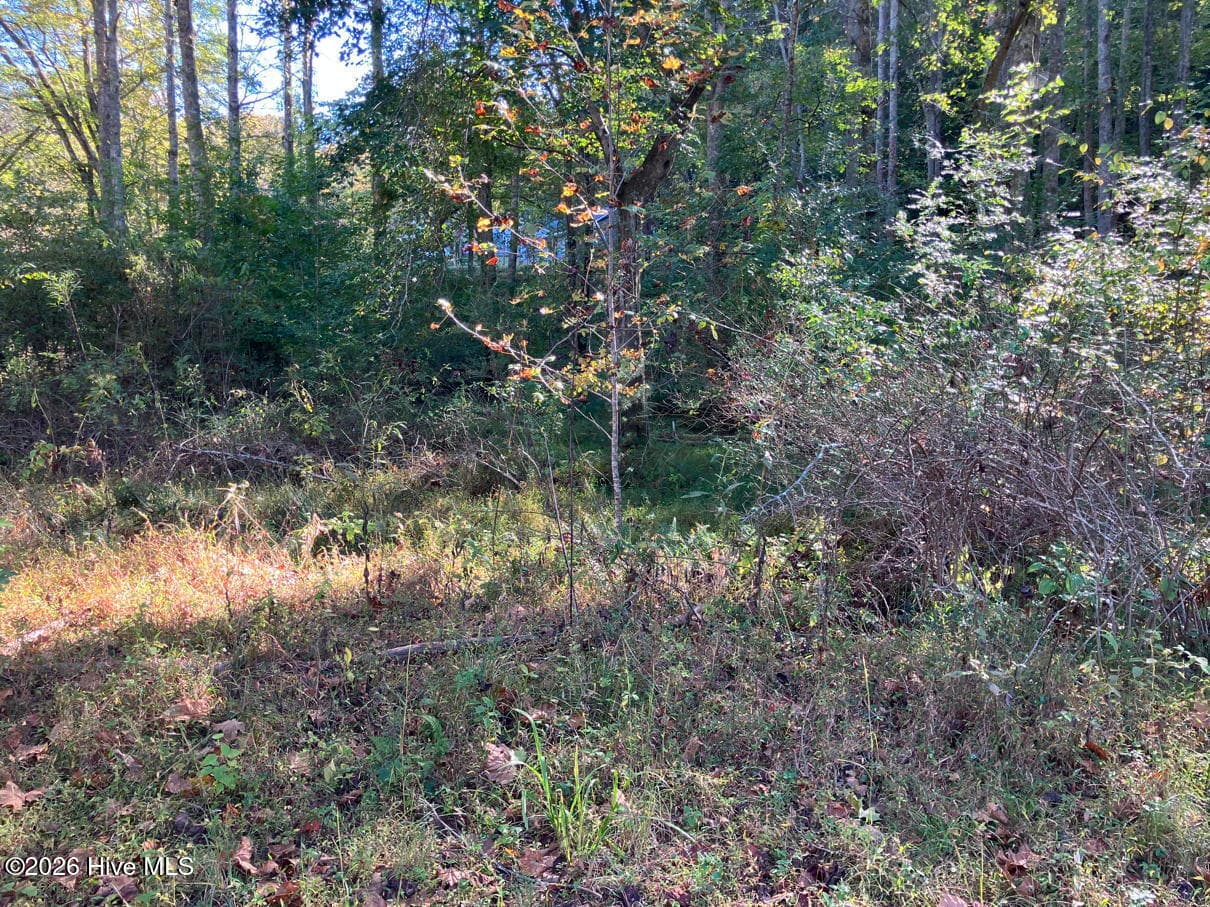 Residential Lot at 6 6 Rushing Water Trail, Hayesville, NC 28904, Hayesville, photo 8 of 14