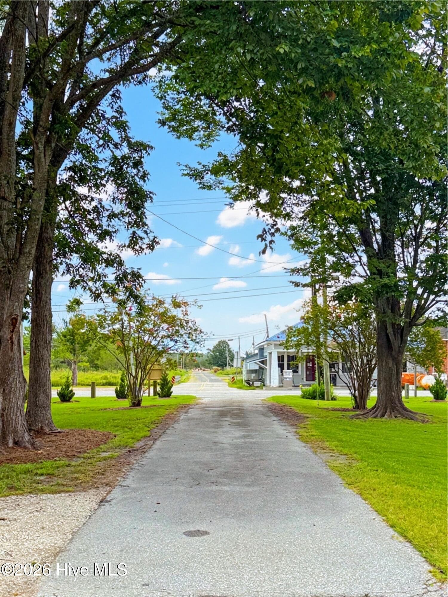 View of driveway - 34830 Us Highway 264, Engelhard, NC 27824