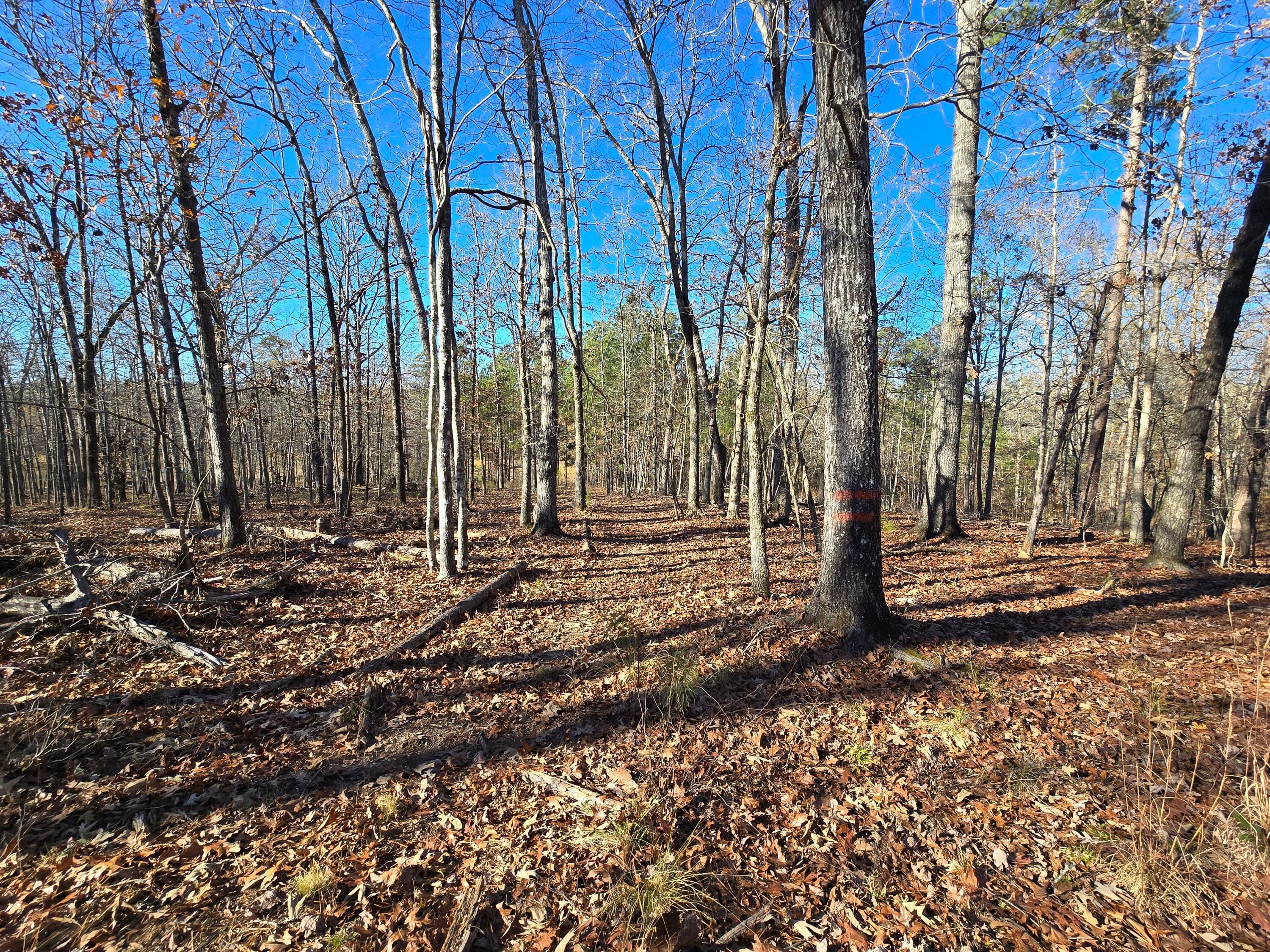 Residential Lot at 1102 Dogwood Drive, Lincolnton, GA 30817, photo 17 of 46