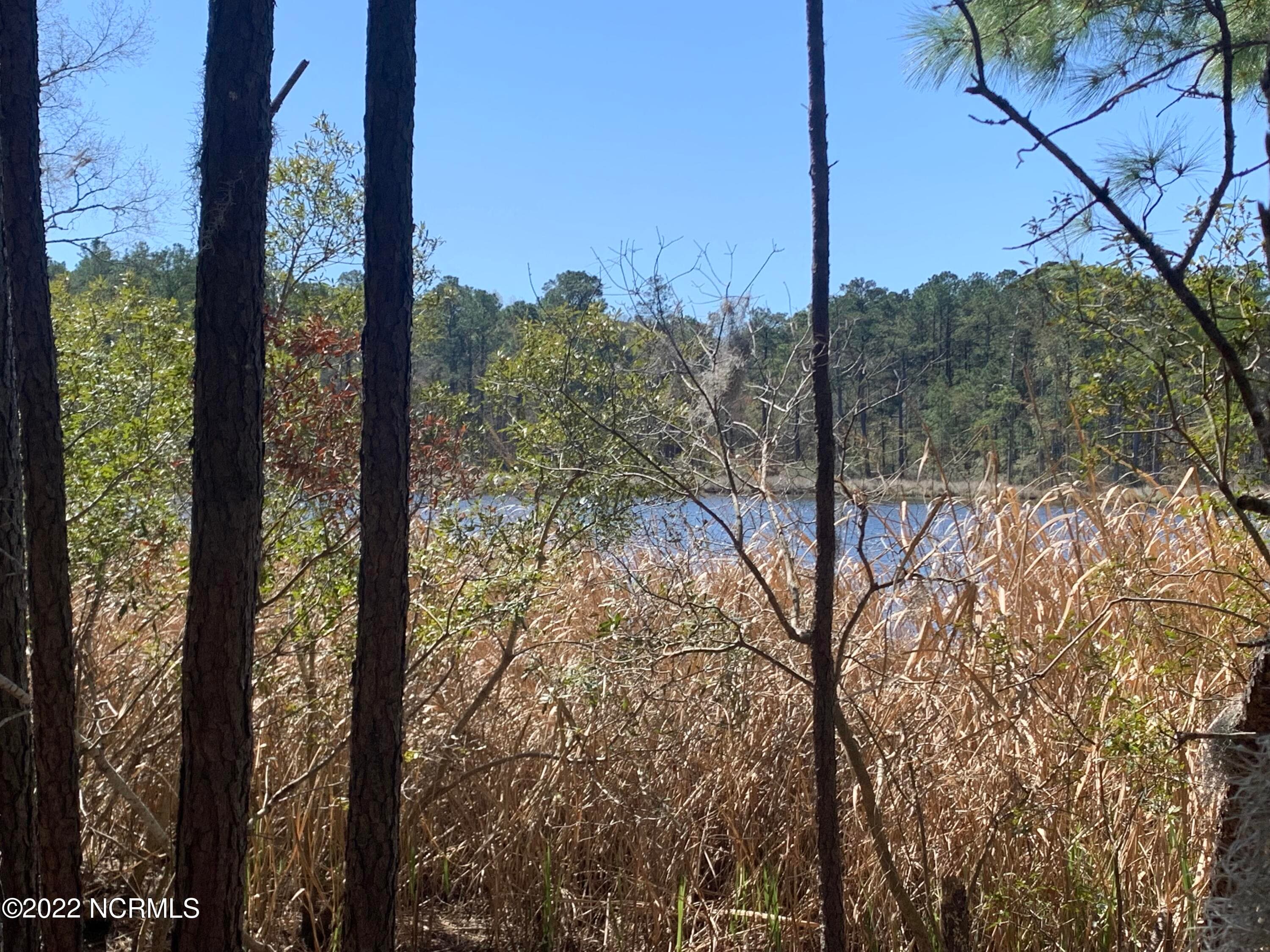 Wooded at Lot 24 24 Bailey Pointe S/D Drive, Belhaven, NC 27810, photo 9 of 19