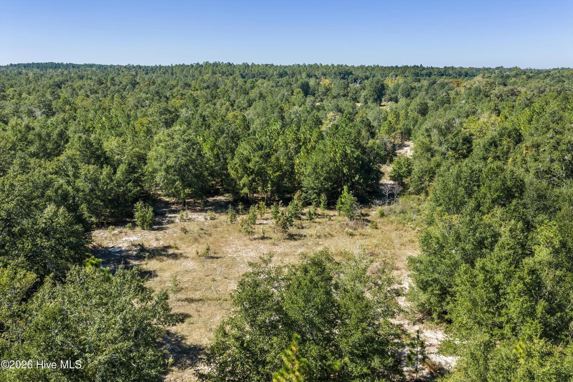 Residential Lot at 000.0 Mary Rawls Road, Wagener, SC 29164, photo 5 of 21