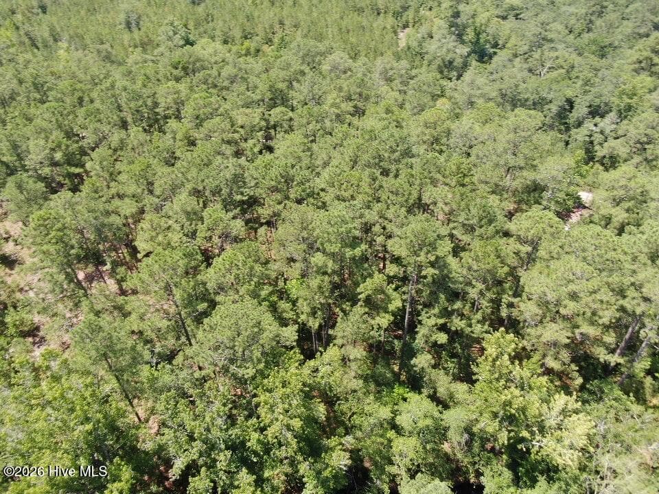 Residential Lot at 532 Old Hoover Bridge Road, Elizabethtown, NC 28337, photo 6 of 9