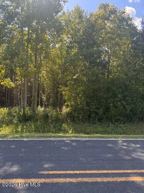 Lot 4 4 Great Swamp Road, Ernul, NC 28527