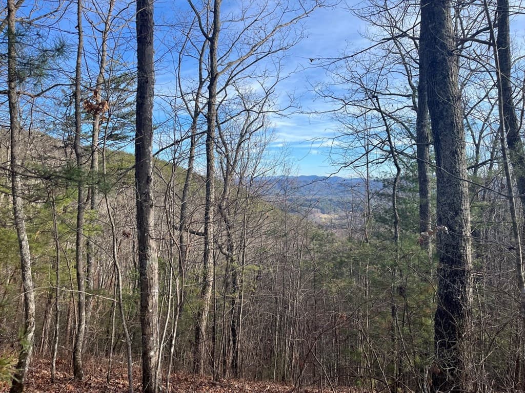 Undeveloped at Lot 14 14 Patriot Ridge, Murphy, NC 28906