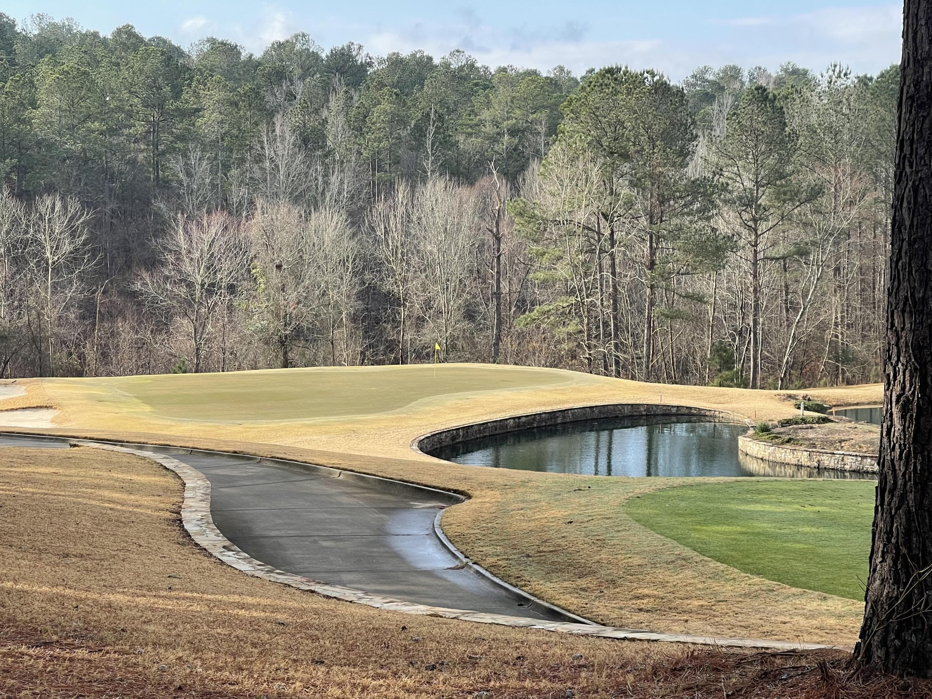 Undeveloped at Lot L-22 Militia Loop, North Augusta, SC 29860, photo 2 of 12