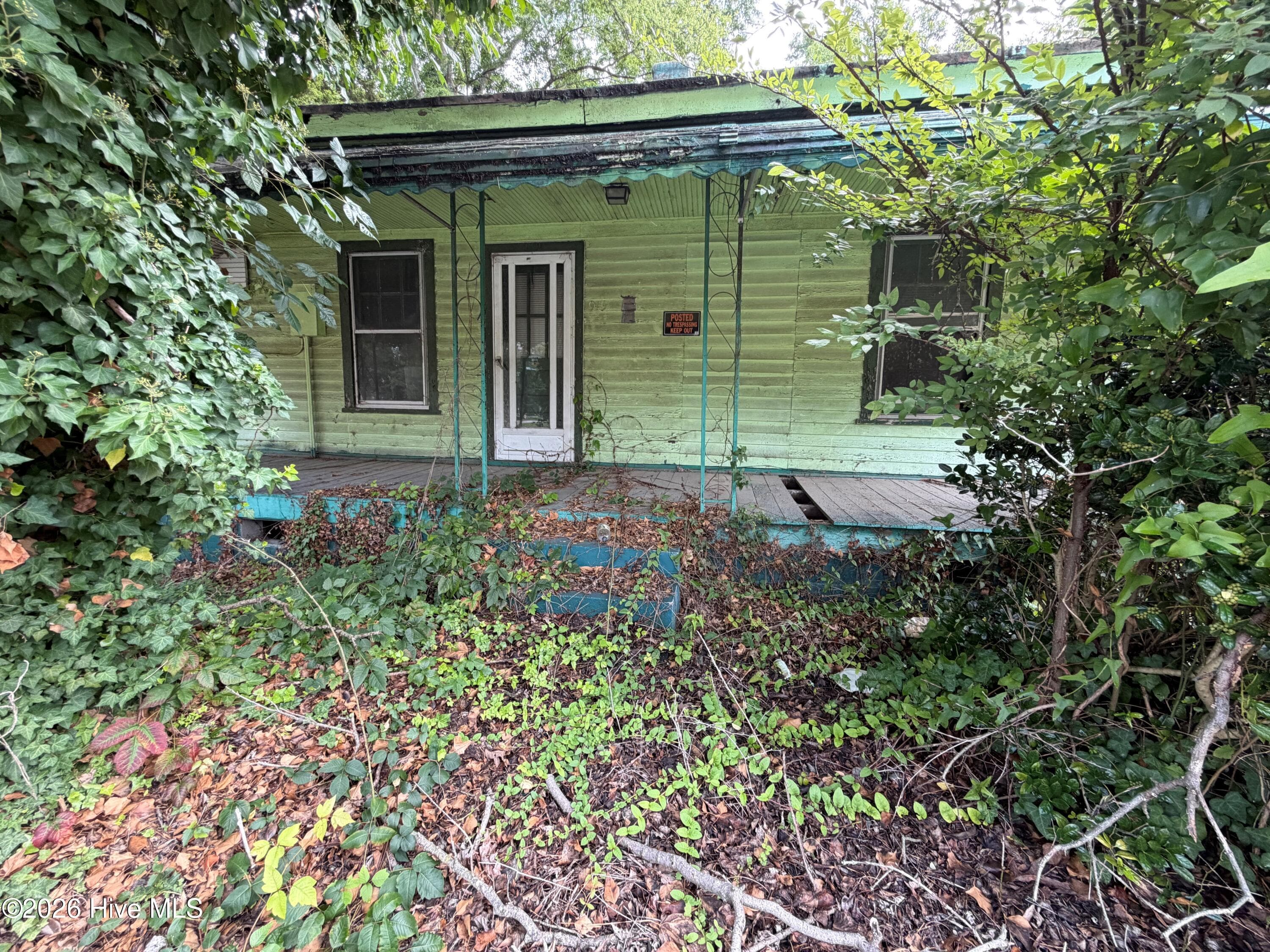 919 Panola Street, Tarboro, NC 27886
