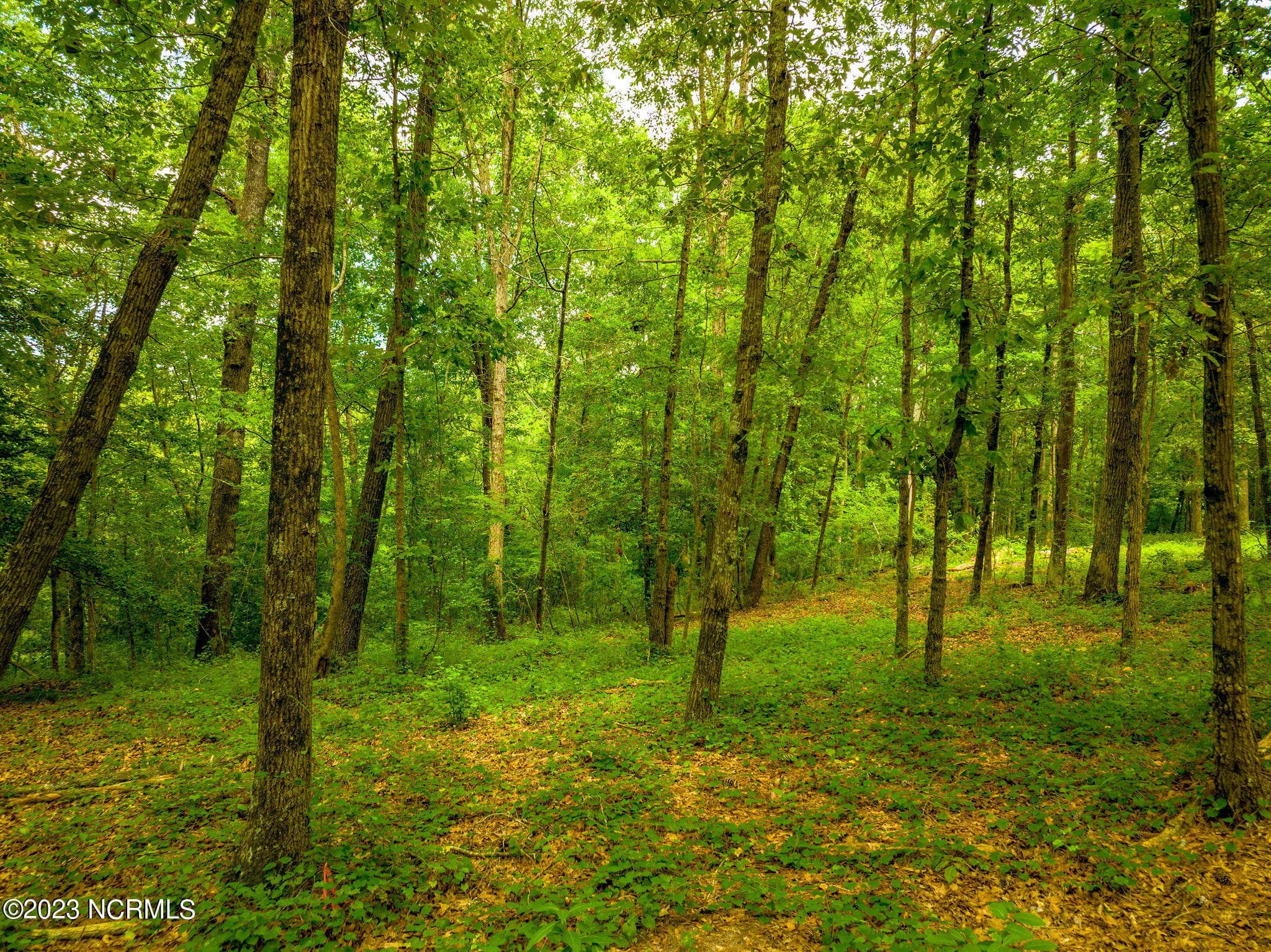 Residential Lot at 148 1a Fairmax Road, Goldsboro, NC 27534, Goldsboro, photo 8 of 8