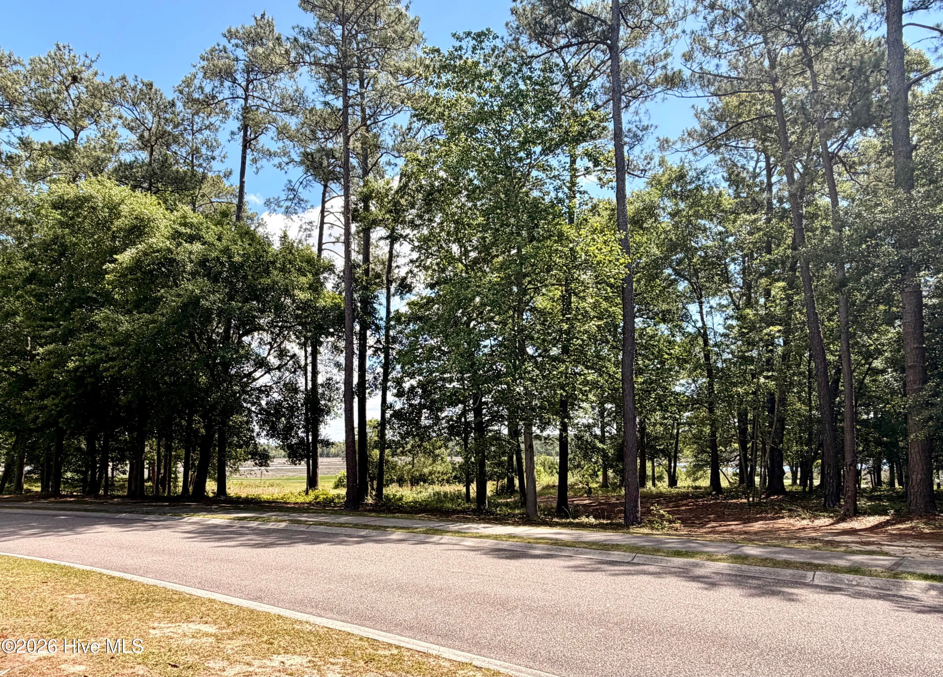 Undeveloped at 2054 2 Arnold Palmer Drive, Shallotte, NC 28470, photo 3 of 15