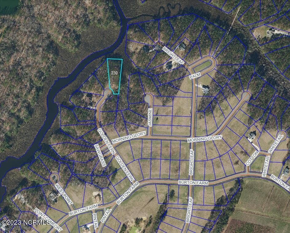 Residential Lot at 220 230 Golden Fern Lane, Minnesott Beach, NC 28510, photo 7 of 23