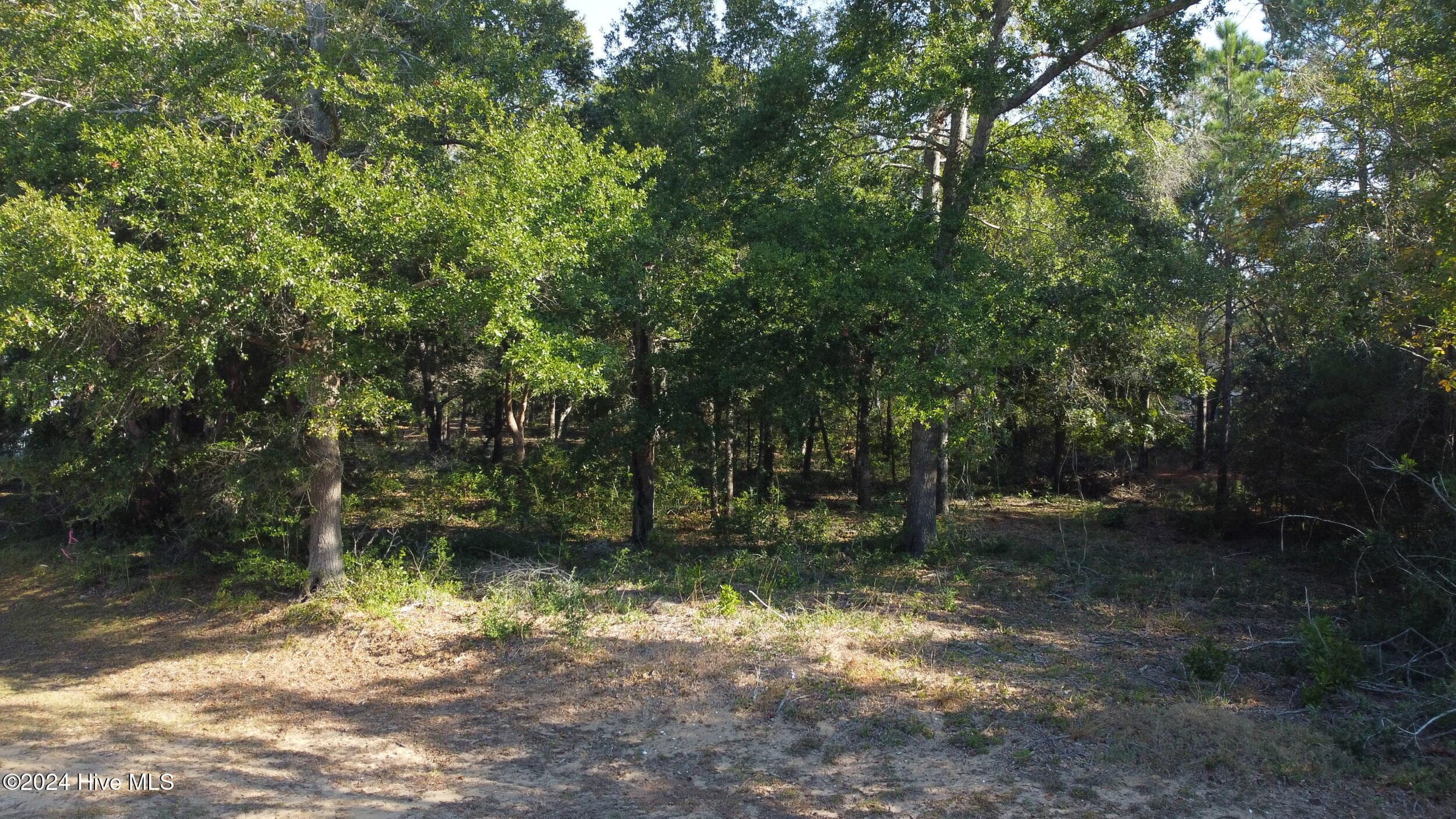 Residential Lot at 1830 Russell Hewett Road SW, Supply, NC 28462, photo 22 of 28