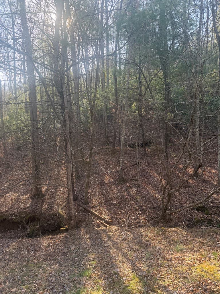 Land at Lot 12 Rainbow Valley Drive, Murphy, NC 28906, photo 16 of 16