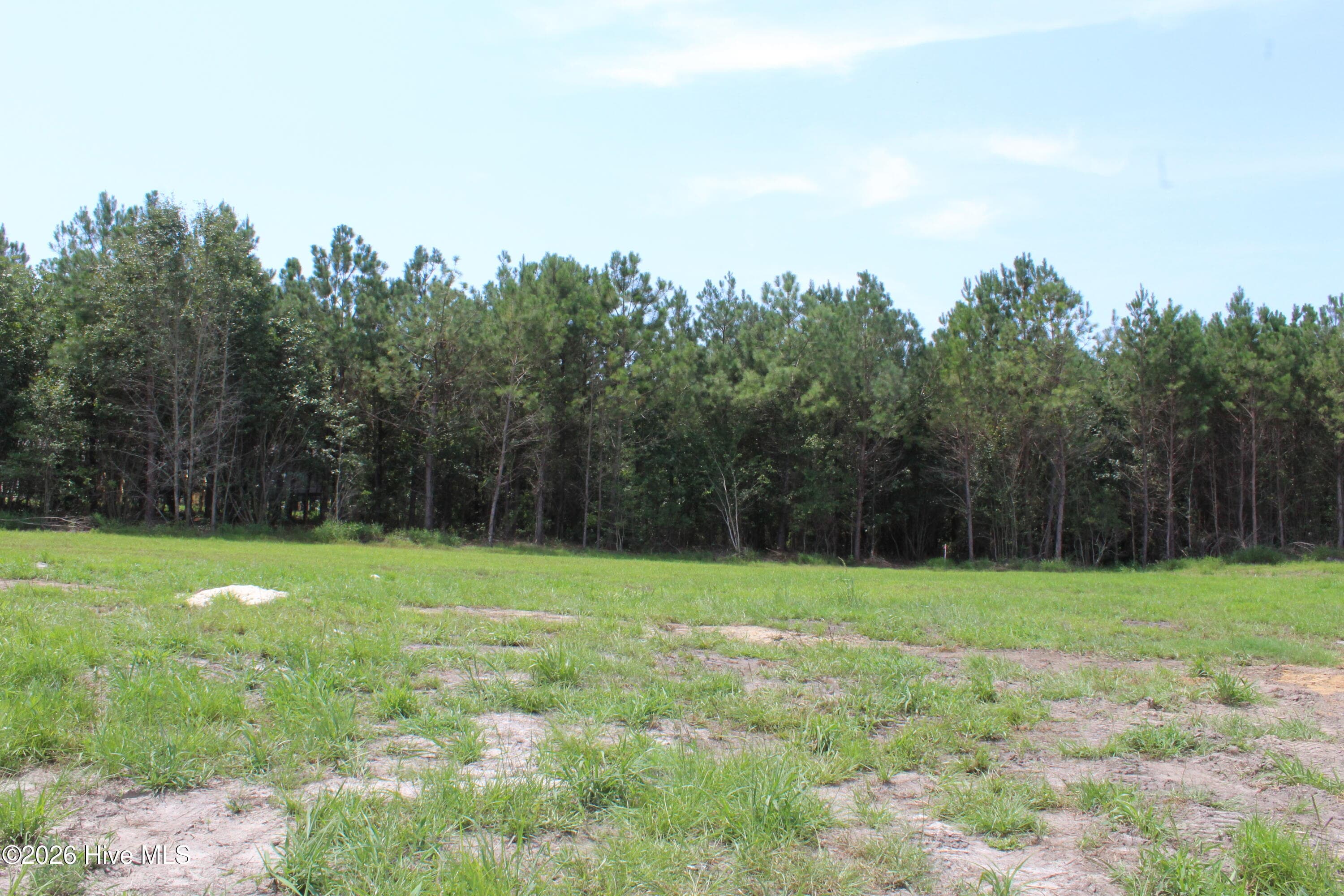 Manufactured Home at 944 Blind Bridge Road, Magnolia, NC 28453, photo 11 of 17