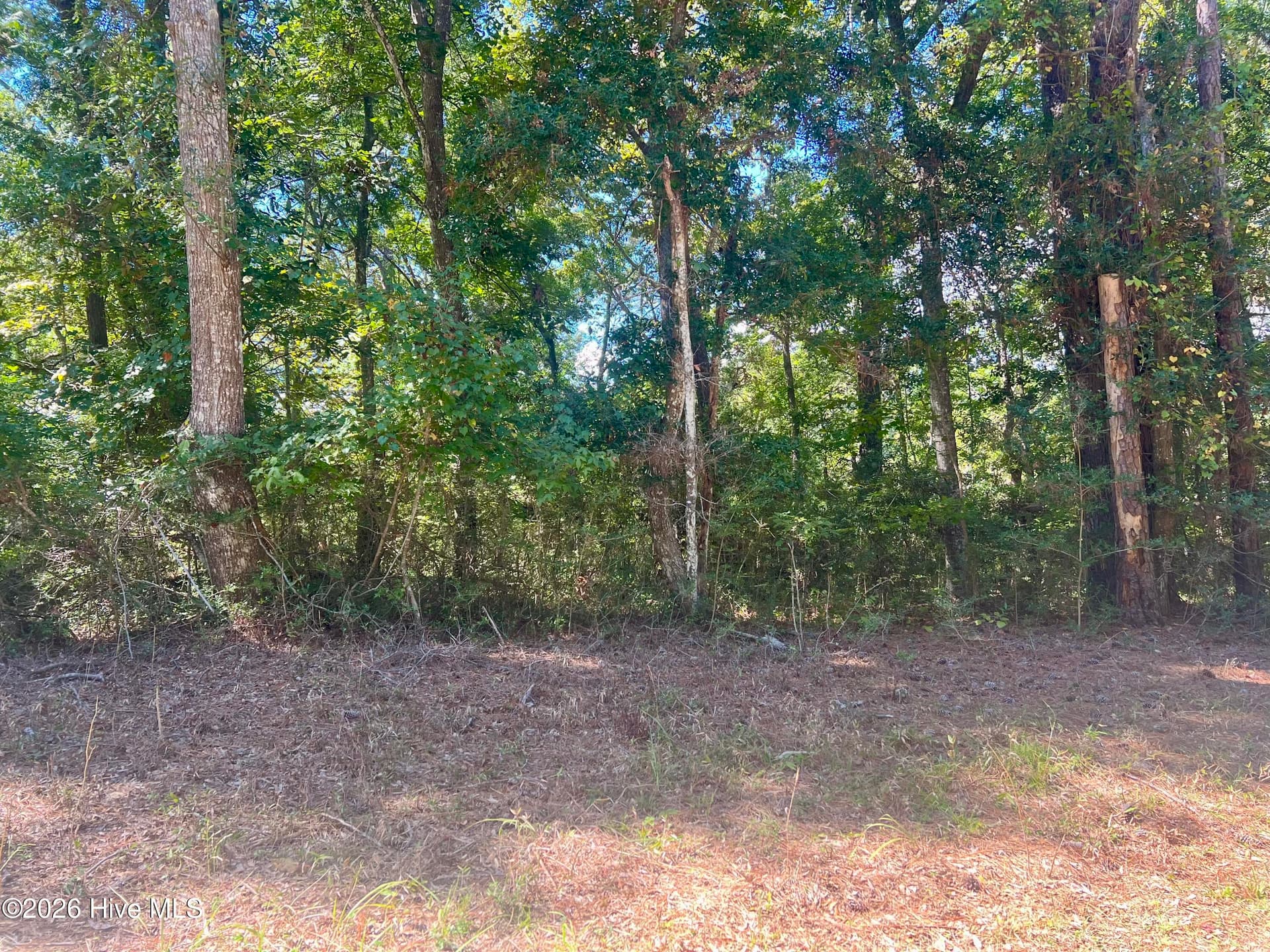 631 Sea Hawk Drive SW, Sunset Beach, NC 28468