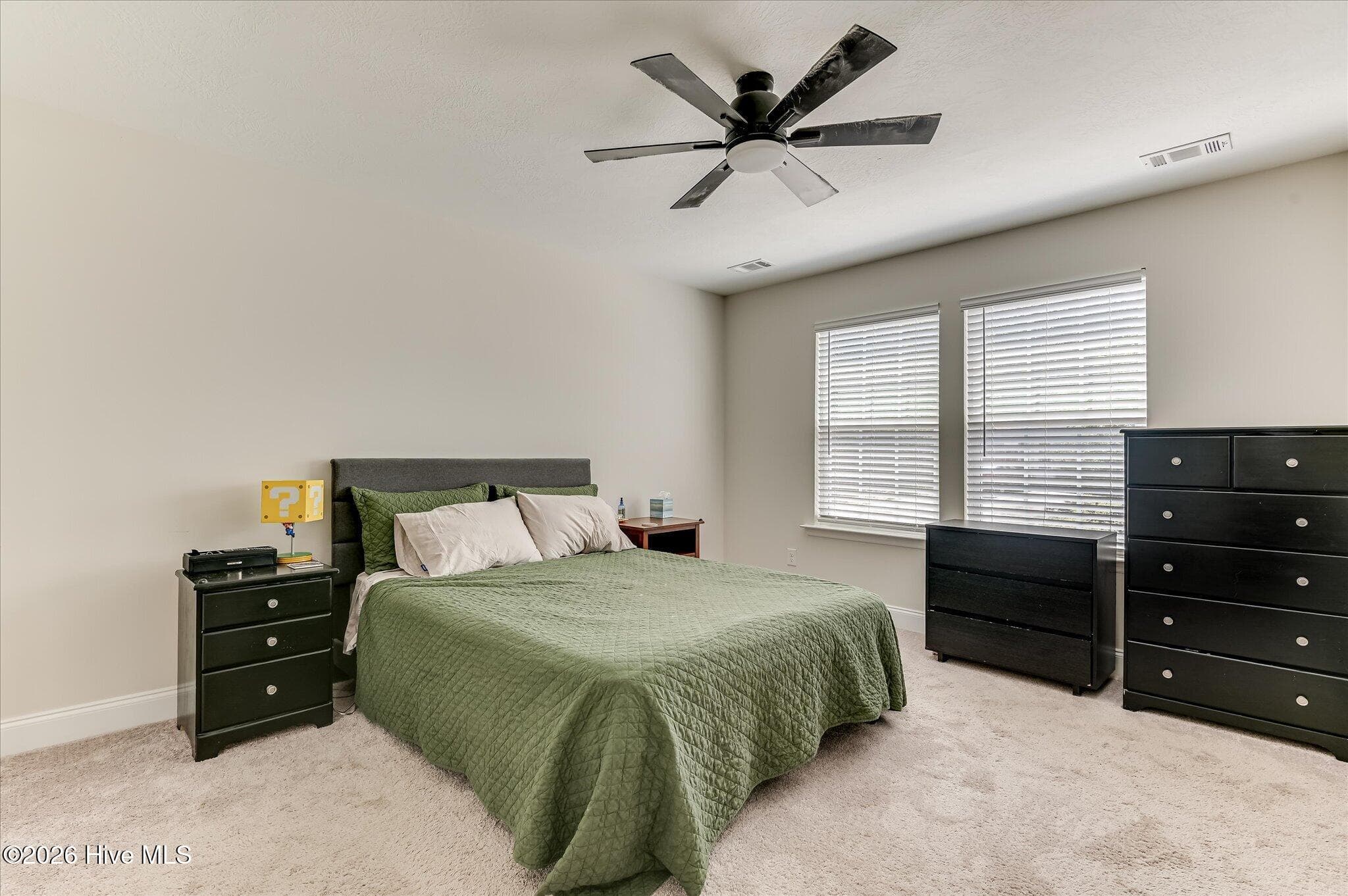 Single Family Residence at 1830 Lowe Street, North Augusta, SC 29841, photo 22 of 37