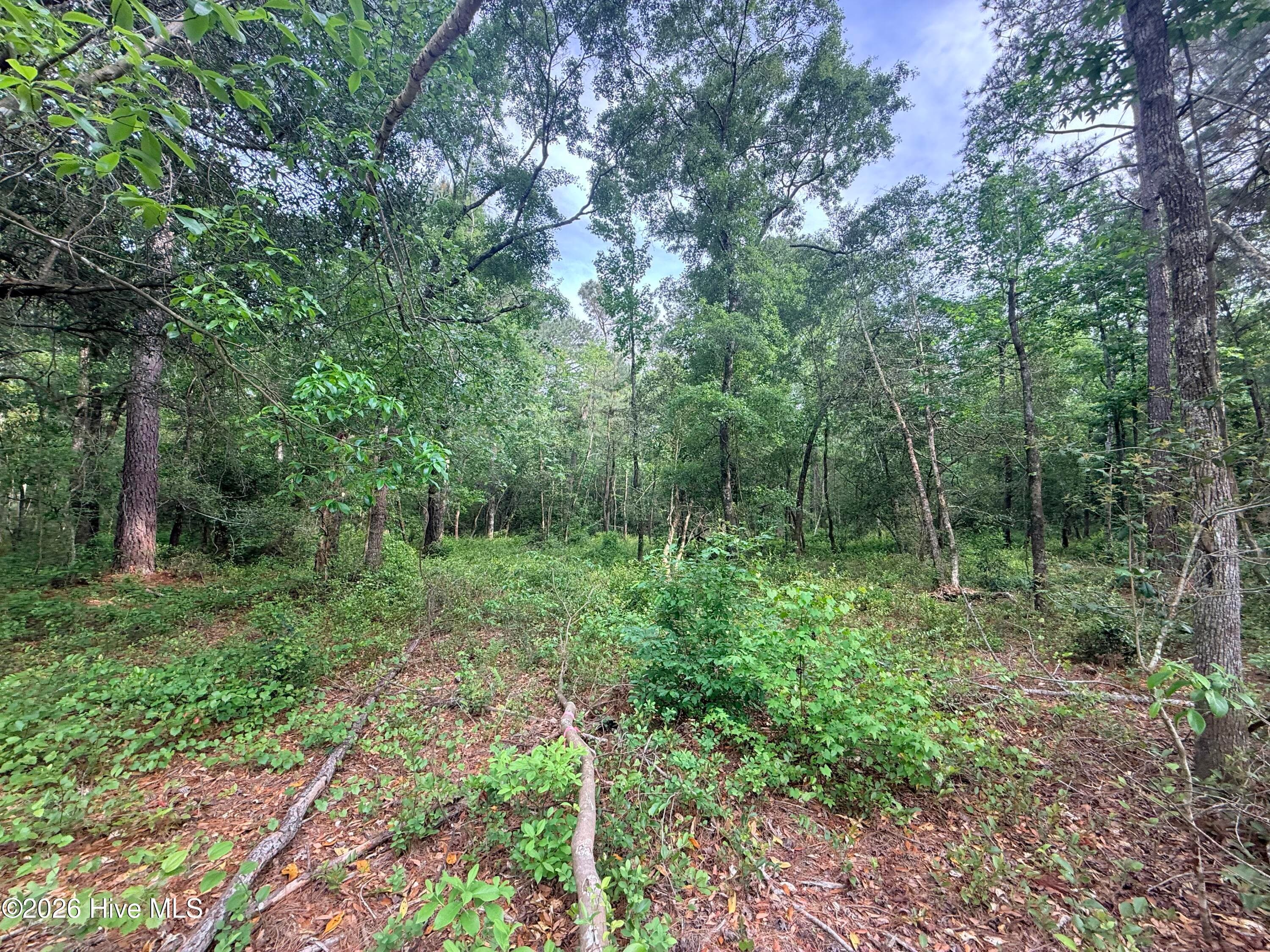Residential Lot at Lot 5 Peach Court, Burgaw, NC 28425, photo 2 of 2