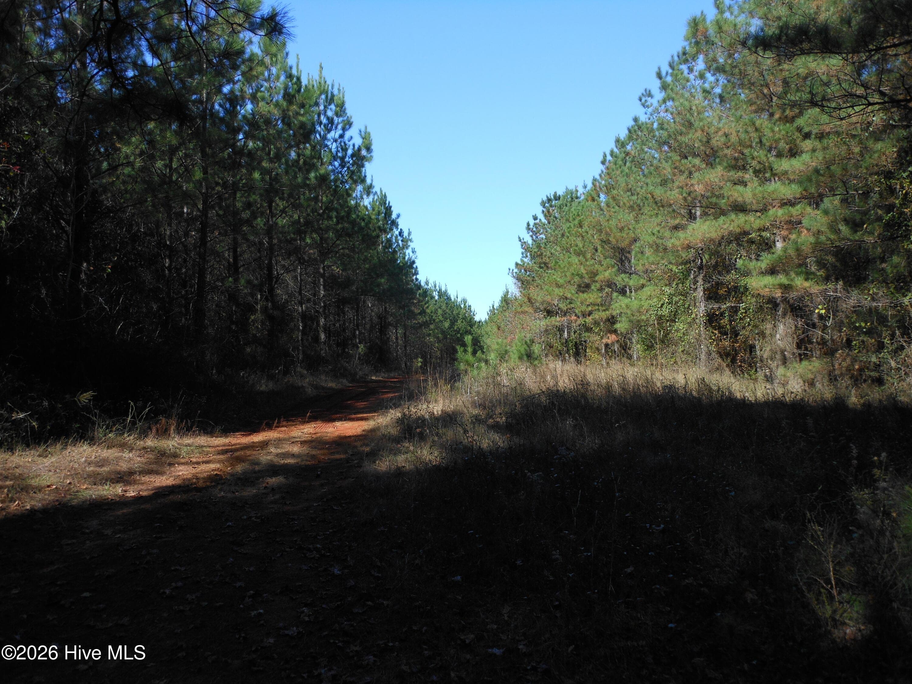 Undeveloped at 1447 Greiner Circle, Hephzibah, GA 30815, photo 6 of 10