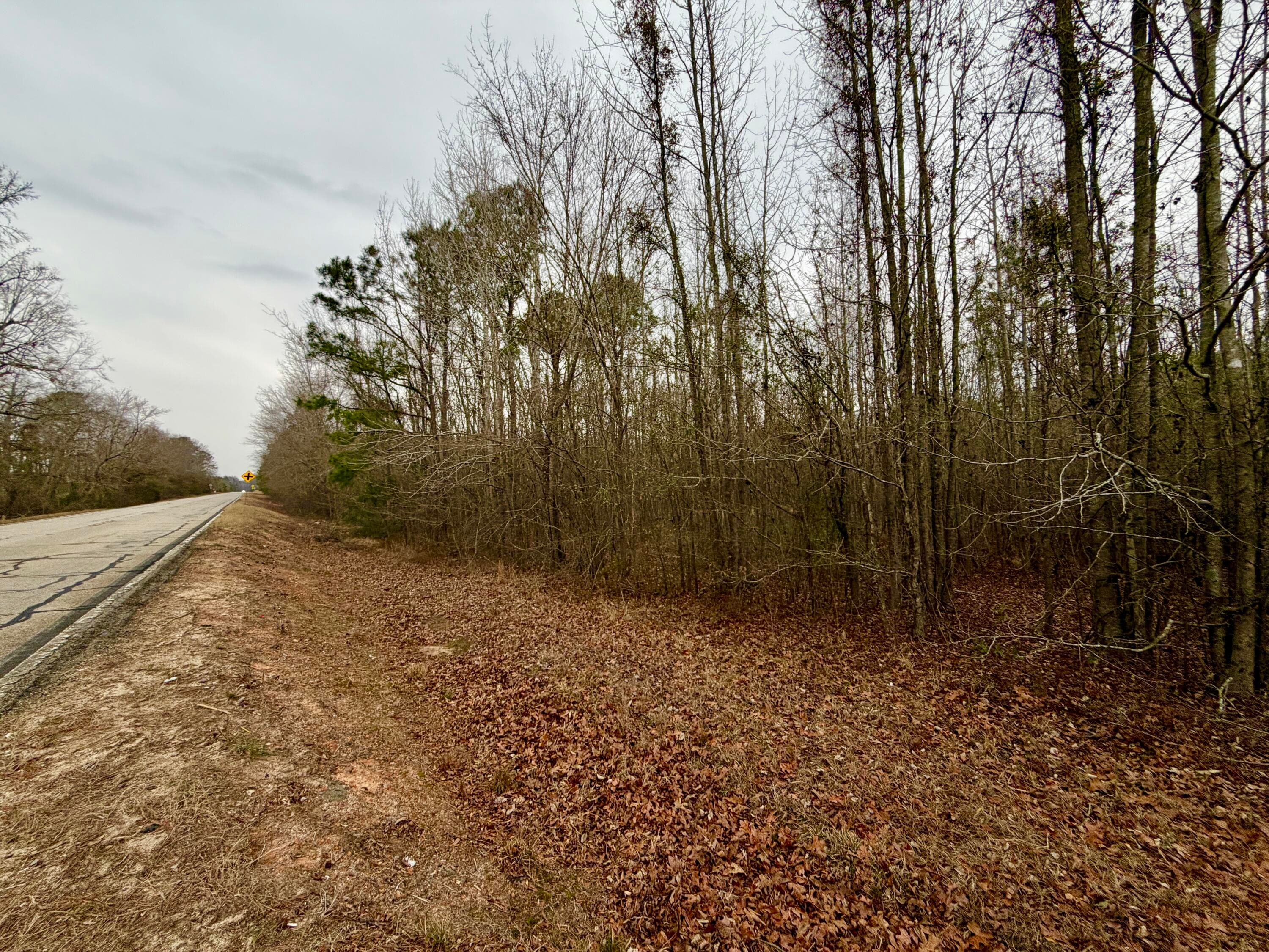 Undeveloped at Tract 3 Ga-305, Midville, GA 30441, photo 13 of 14