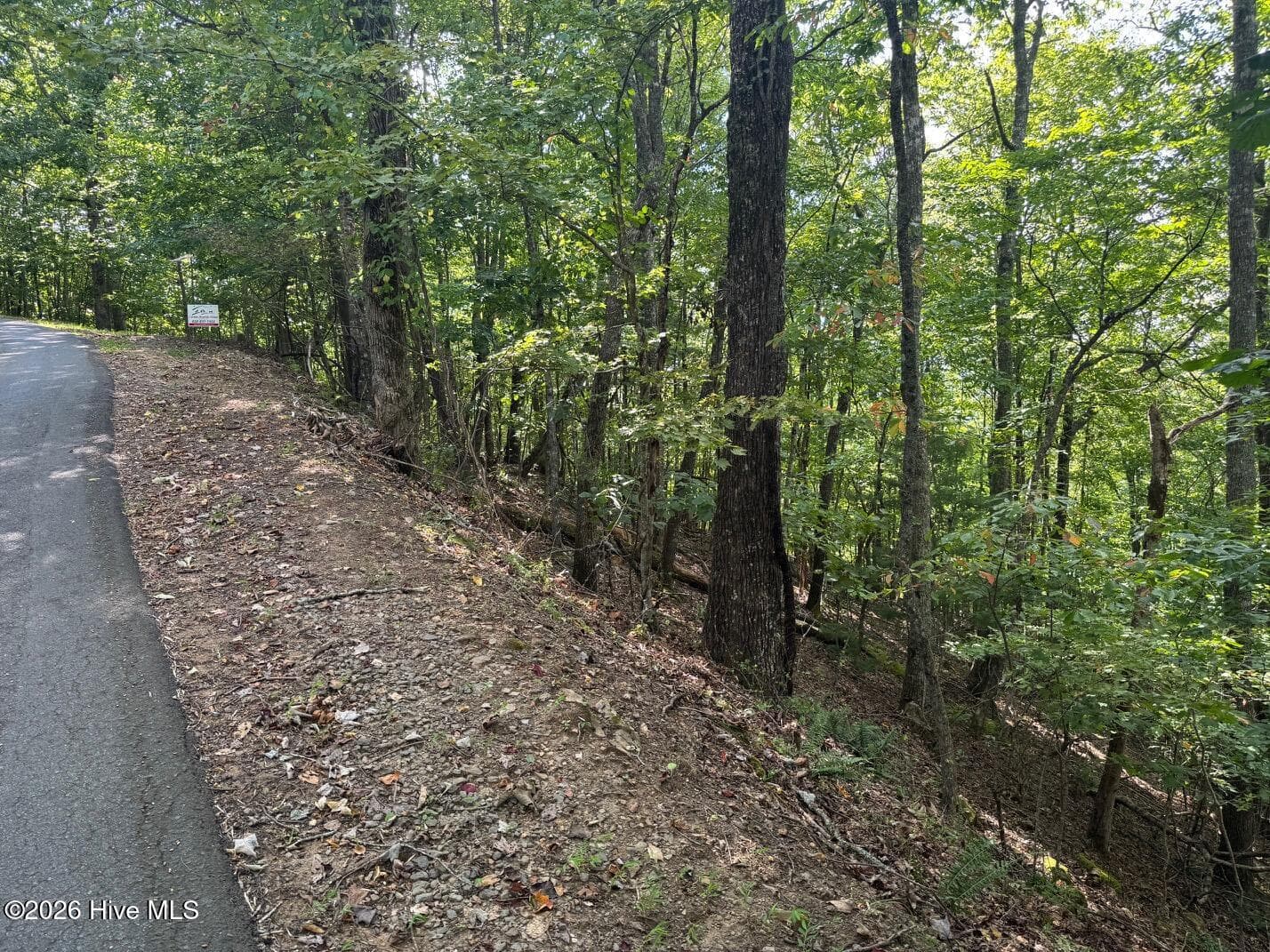 Wooded at 18 Mason Way, Murphy, NC 28906, photo 3 of 7