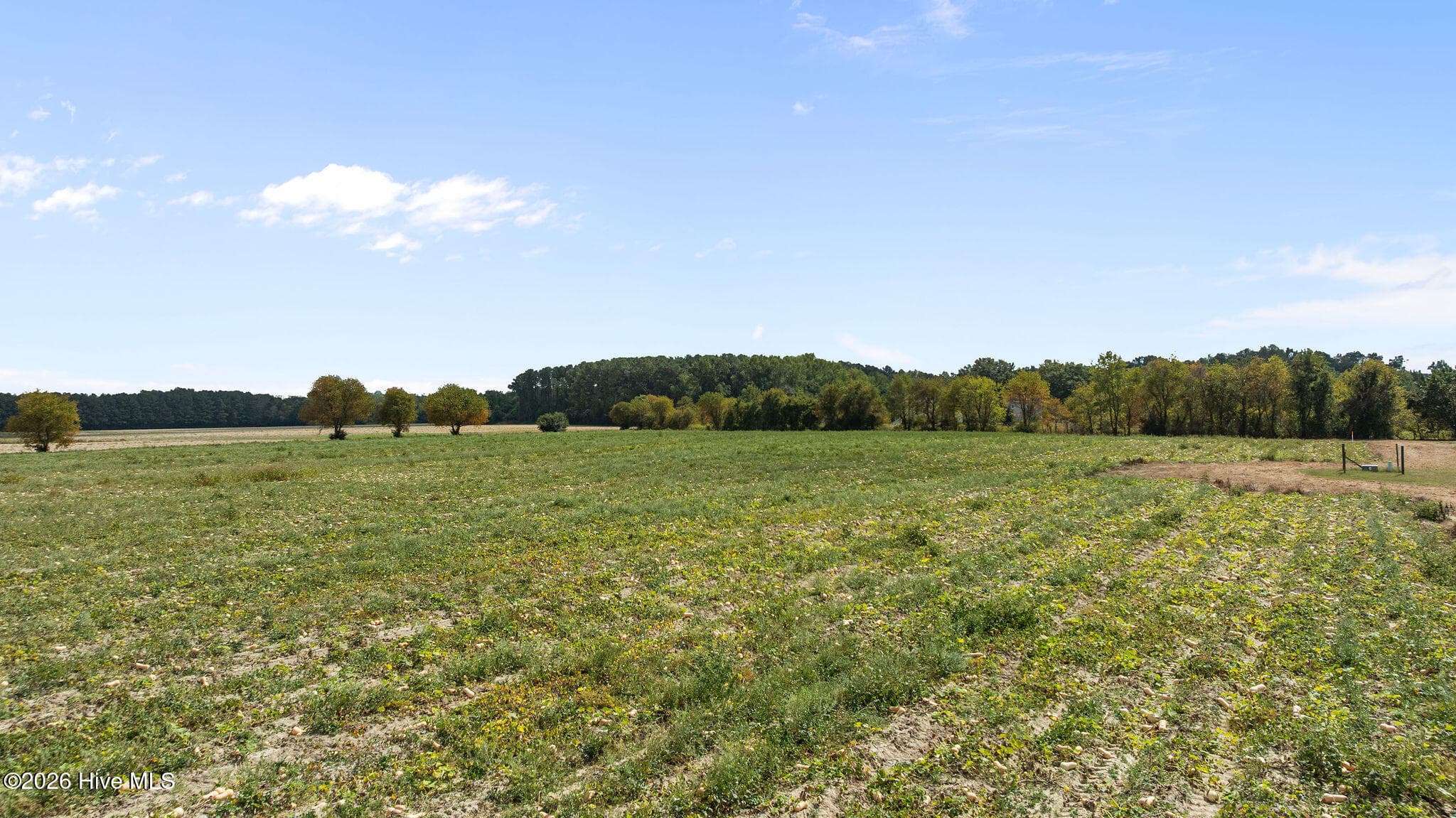 Residential Lot at 0 Eagle Ridge Lane, La Grange, NC 28551, photo 5 of 11