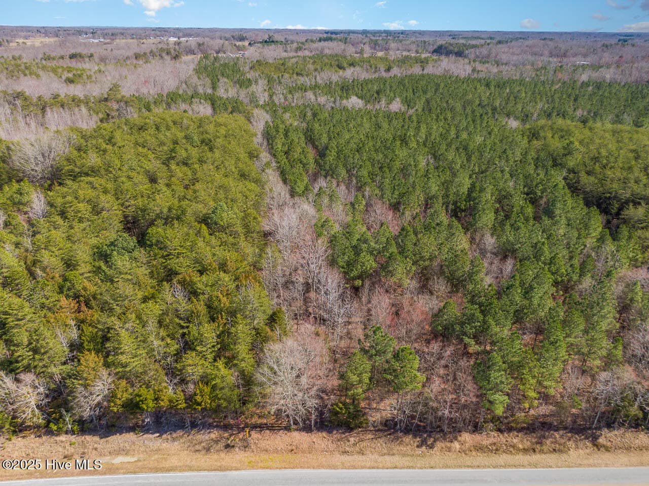 Undeveloped at 0 Atkins Road, Mebane, NC 27302, photo 2 of 8